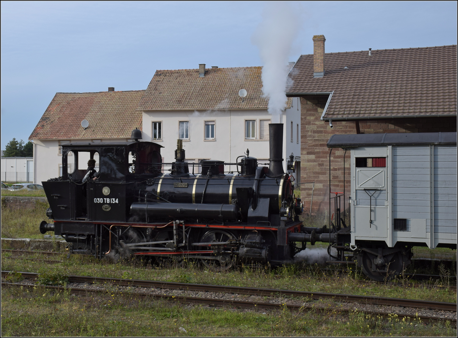 Im Elssser Ried mit der CFTR.

030 TB 134  Theodor  in Volgelsheim. September 2024.