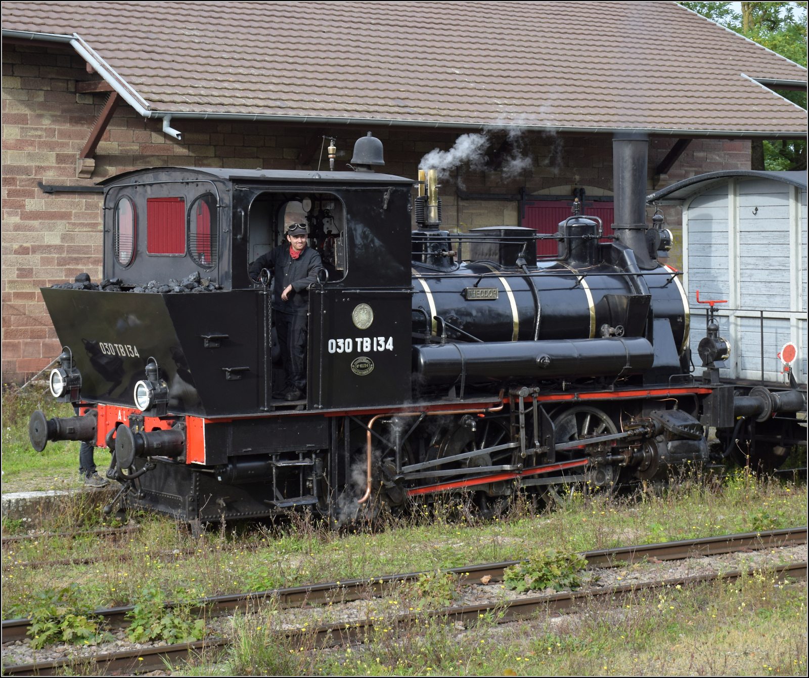 Im Elssser Ried mit der CFTR.

030 TB 134  Theodor  in Volgelsheim. September 2024.