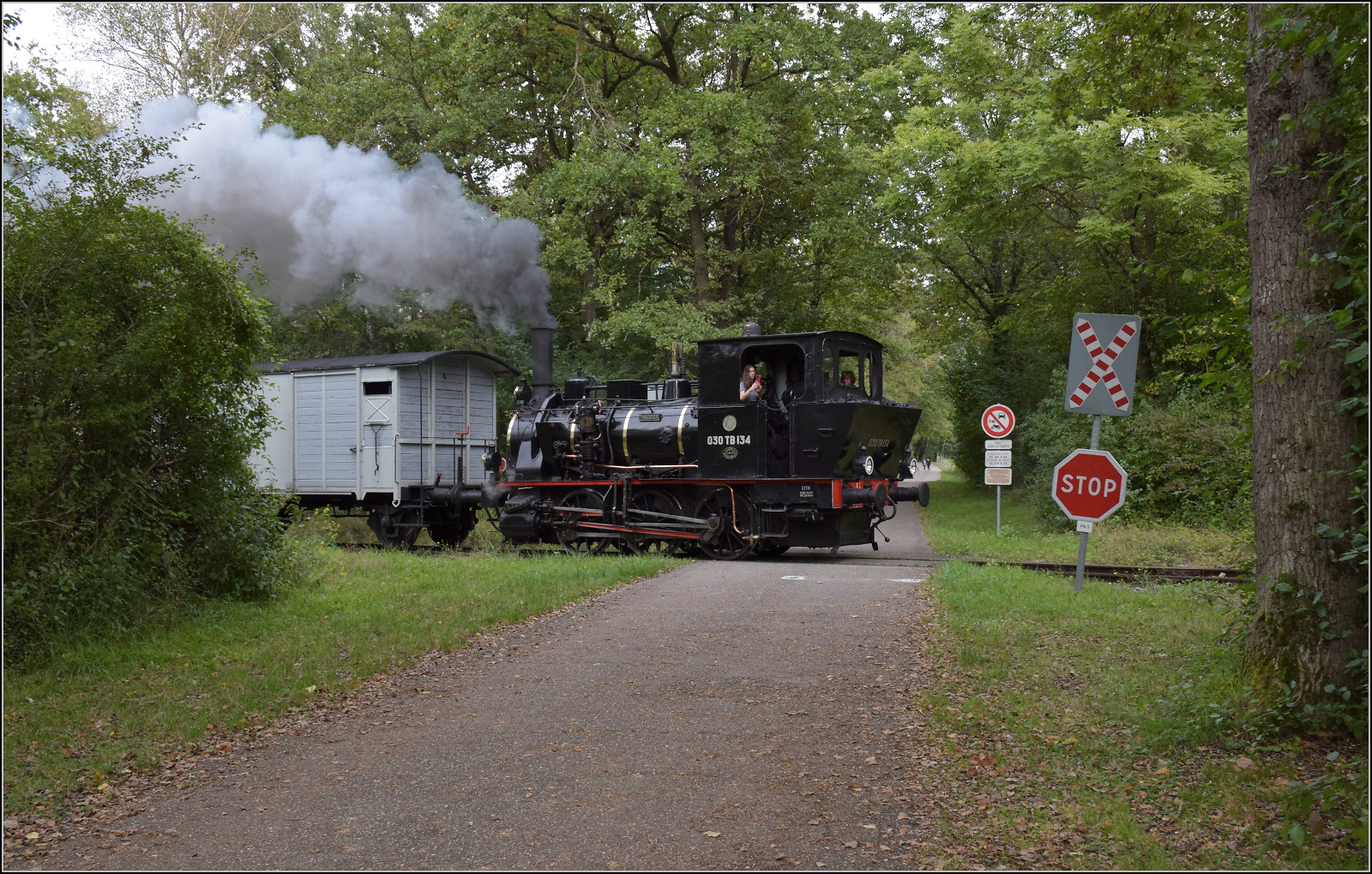 Im Elsässer Ried mit der CFTR.

030 TB 134  Theodor  überquert den Weg ins Grün nahe der Hygieneartikelfabrik Georgia Pacific. Kunheim, September 2024.