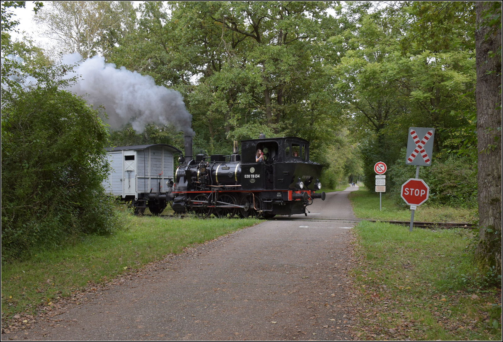 Im Elsässer Ried mit der CFTR.

030 TB 134  Theodor  überquert den Weg ins Grün nahe der Hygieneartikelfabrik Georgia Pacific. Kunheim, September 2024.