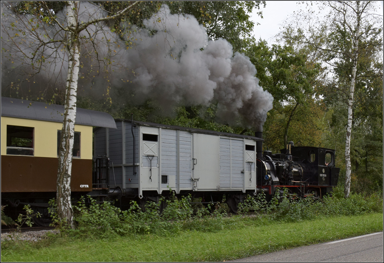 Im Elsässer Ried mit der CFTR.

030 TB 134  Theodor  nahe der Hygieneartikelfabrik Georgia Pacific. Kunheim, September 2024.