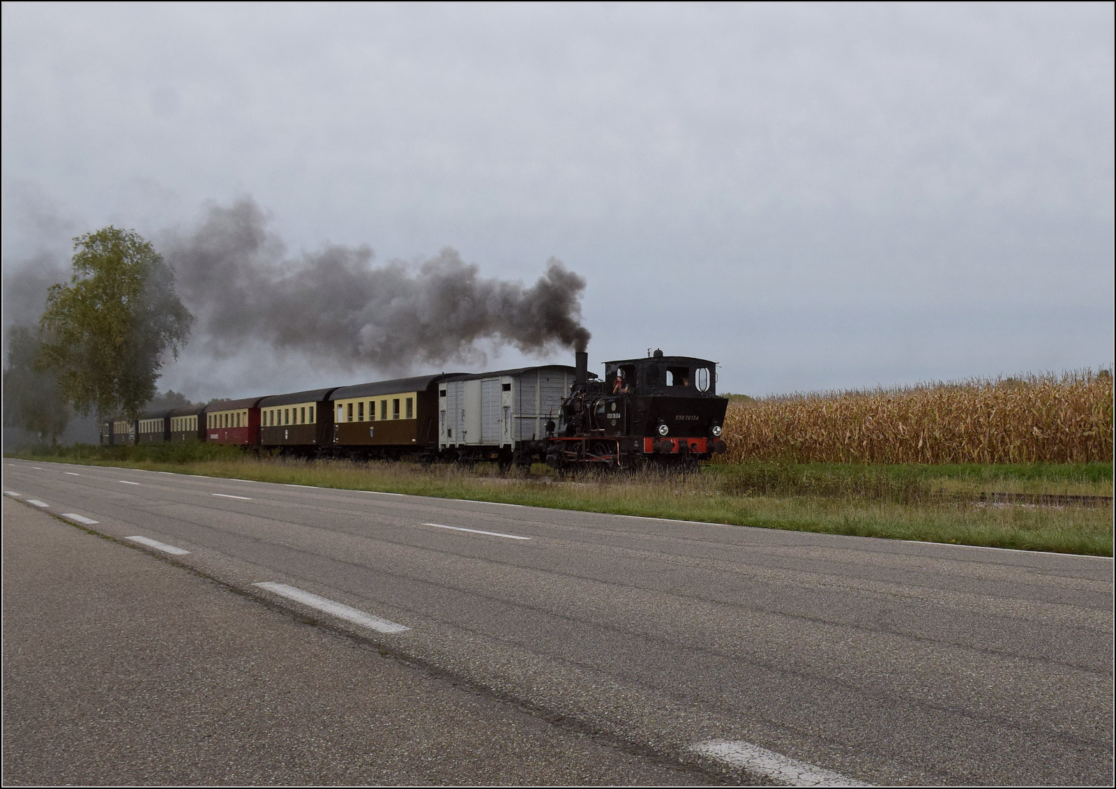 Im Elsässer Ried mit der CFTR.

030 TB 134  Theodor  im Gewann Saulaegerlopf auf der Gemarkung Kunheim. September 2024.