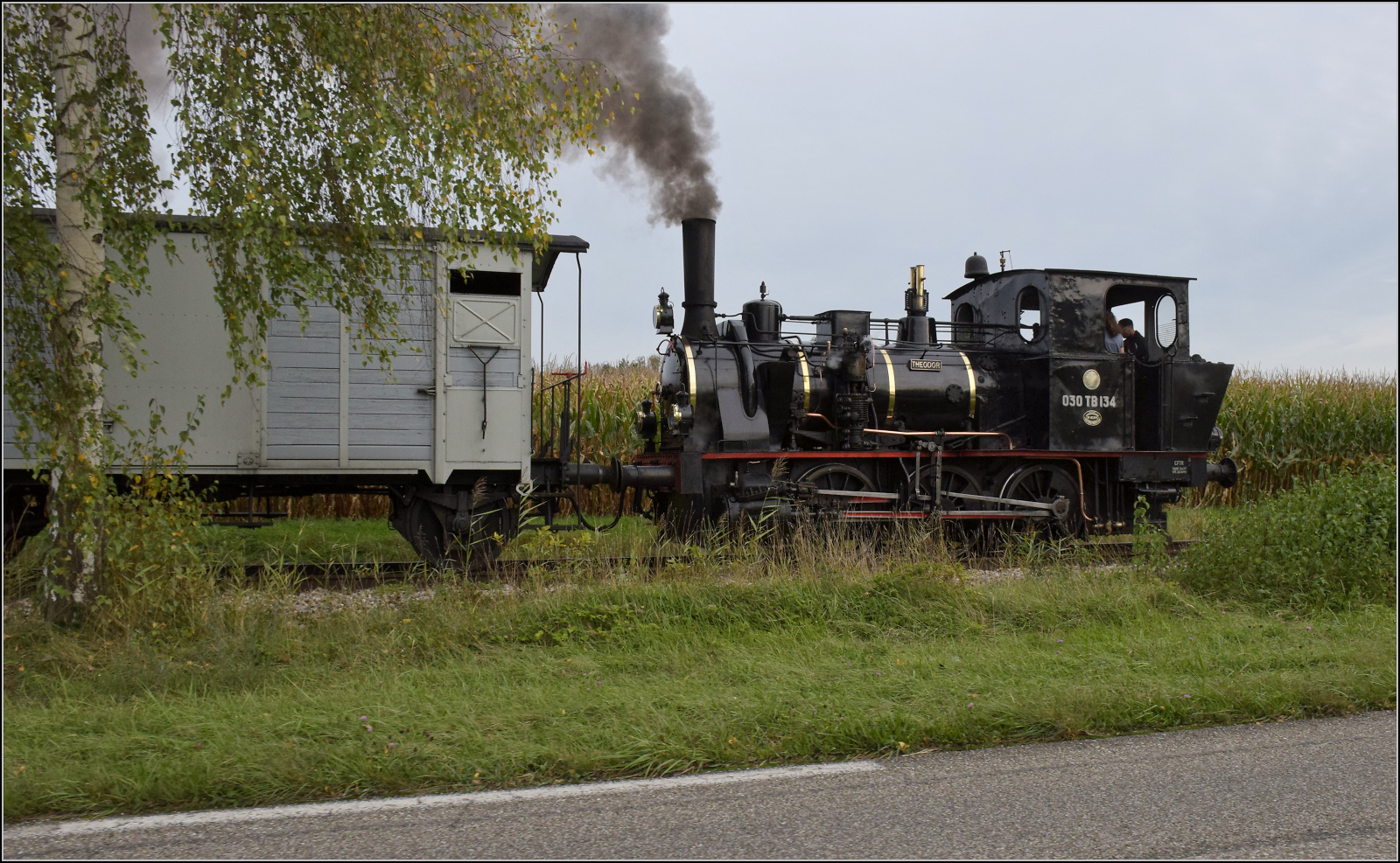 Im Elsässer Ried mit der CFTR.

030 TB 134  Theodor  im Gewann Saulaegerlopf auf der Gemarkung Kunheim. September 2024.