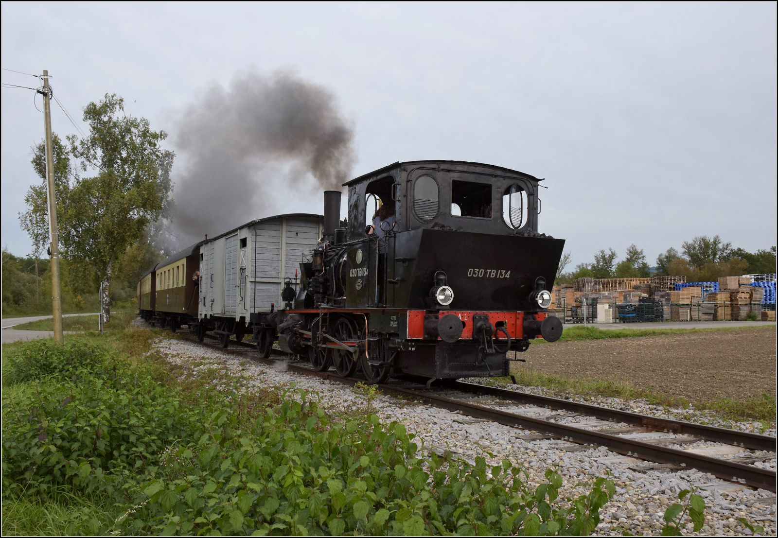 Im Elsässer Ried mit der CFTR.

030 TB 134  Theodor  beim Gewann Saulaegerlopf auf der Gemarkung Kunheim. September 2024.