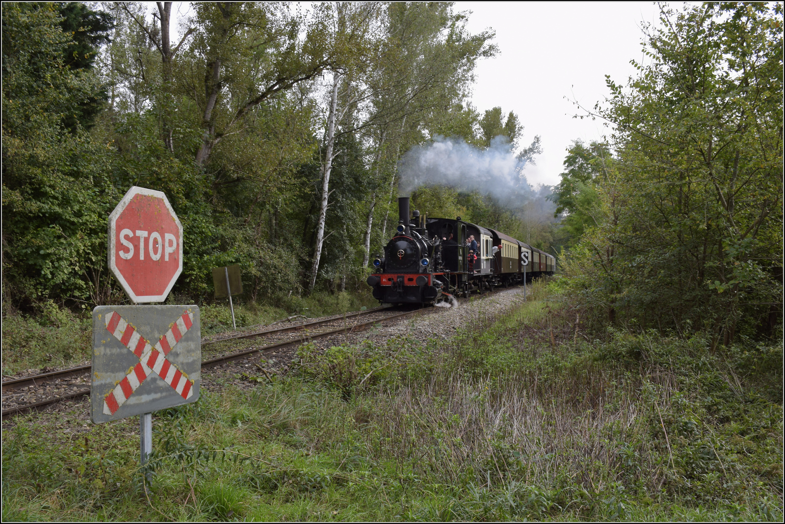 Im Elsässer Ried mit der CFTR.

030 TB 134  Theodor  vor Georgia Pacific bei Kunheim. September 2024.