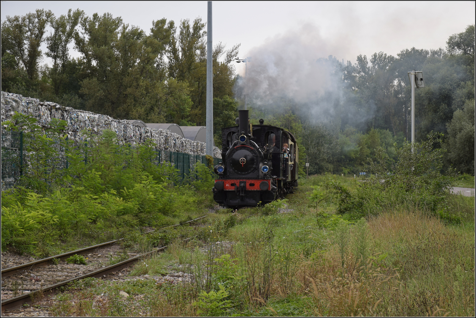 Im Elssser Ried mit der CFTR.

030 TB 134  Theodor  am Rheinhafen Neu-Breisach/Colmar auf Vogelgrner Gemarkung. September 2024.