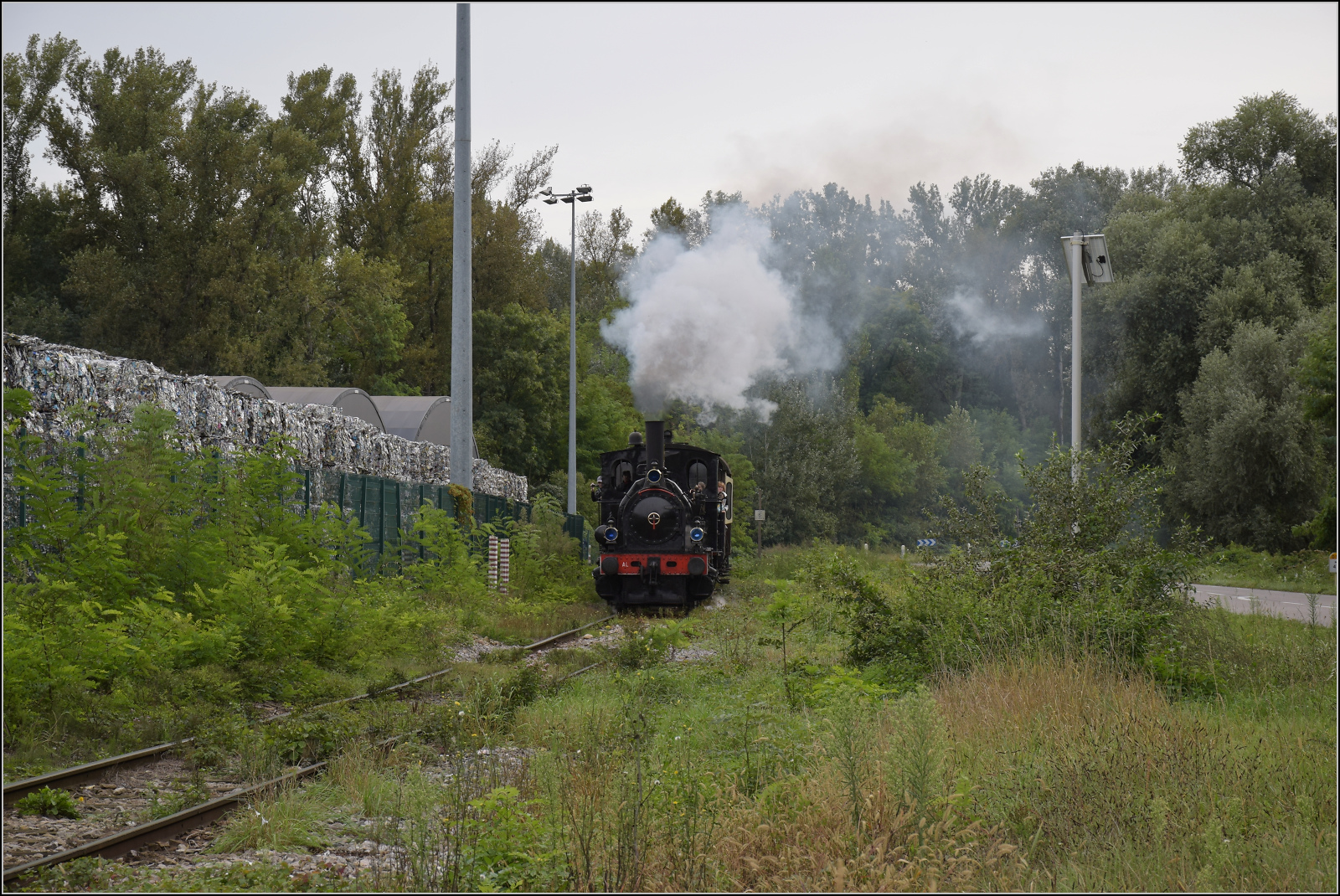 Im Elssser Ried mit der CFTR.

030 TB 134  Theodor  am Rheinhafen Neu-Breisach/Colmar auf Vogelgrner Gemarkung. September 2024.