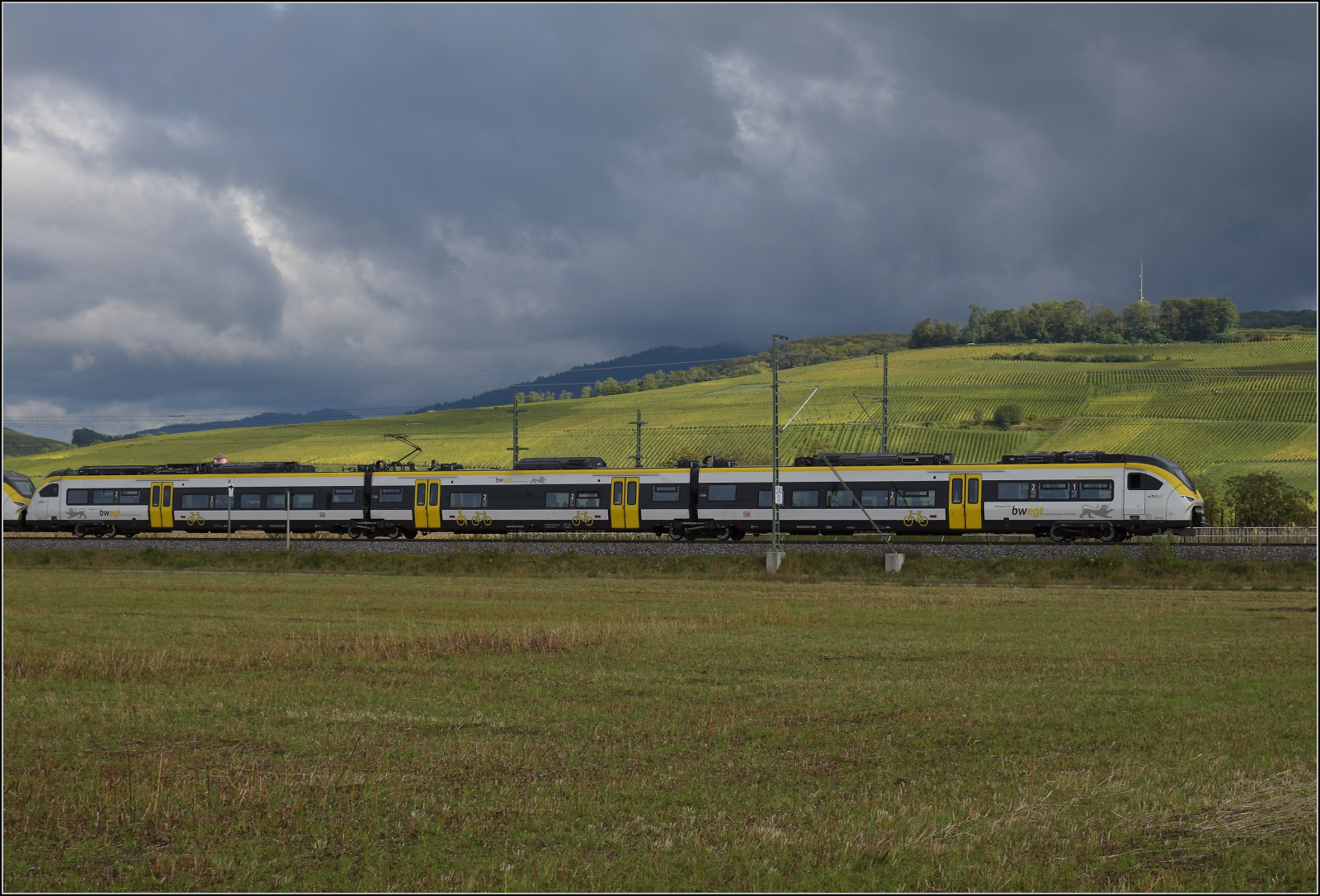 Markgrfler Land vor dem Fall der Bltter.

463 023 und 463 020 bei Auggen. Oktober 2024.