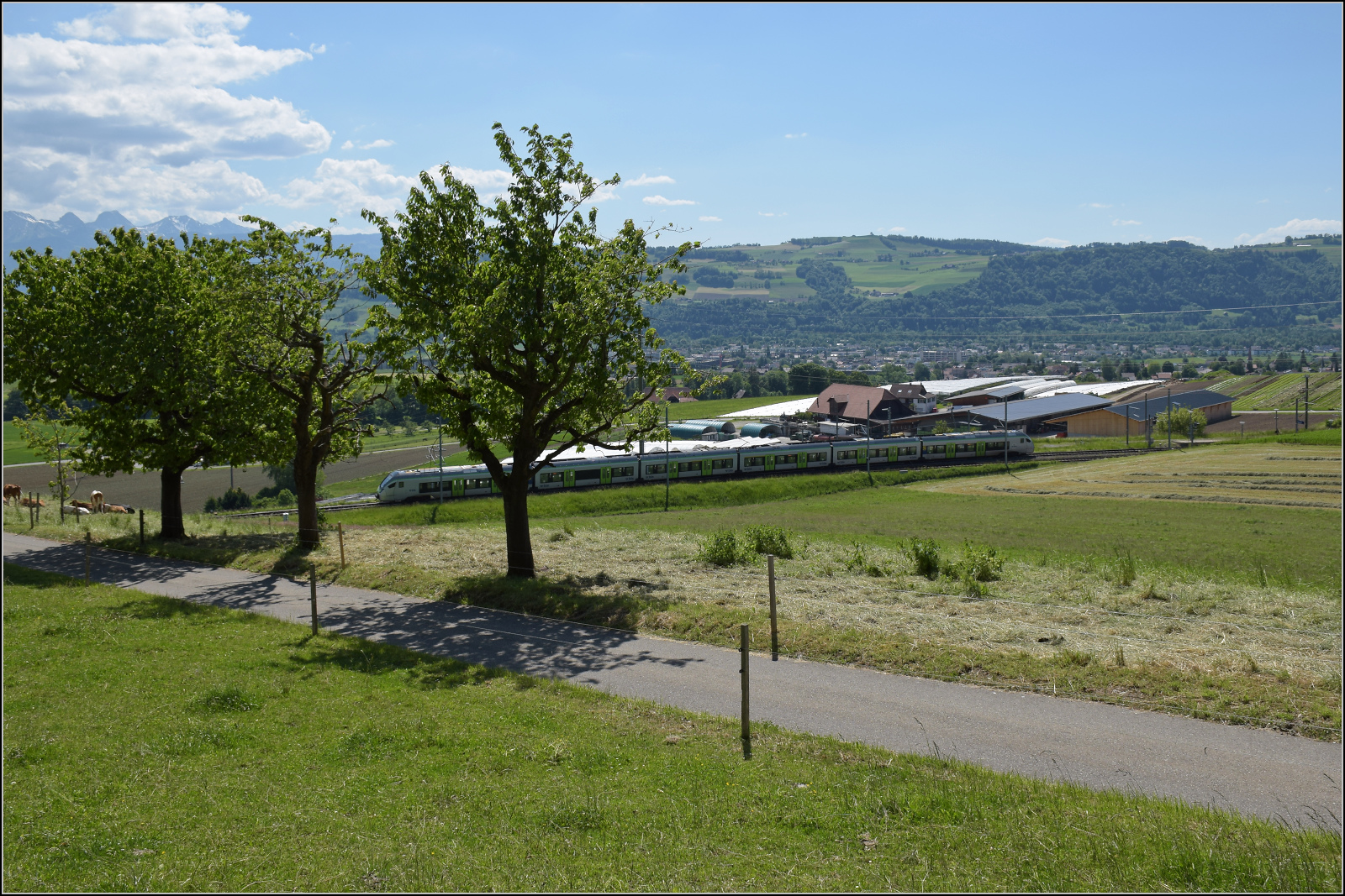 Mika RABe 528 207 auf dem Weg nach Langnau. Tägertschi, Mai 2025.