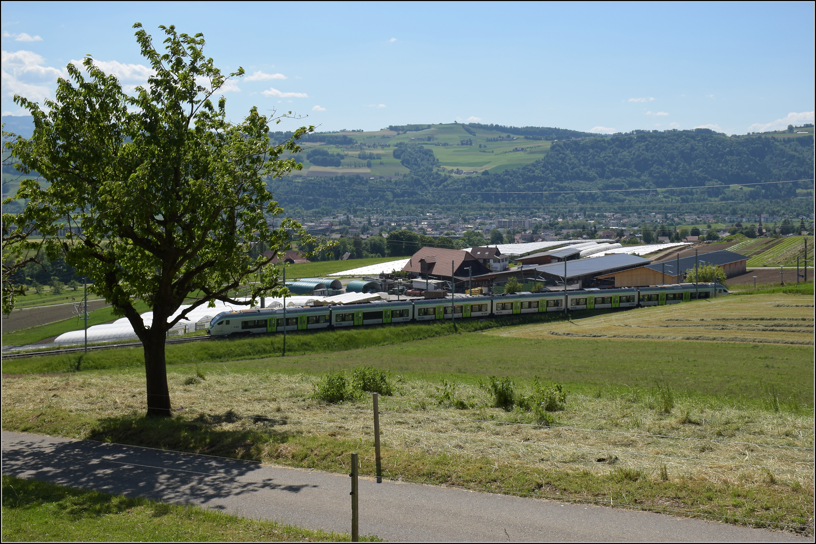 Mika RABe 528 223 auf dem Weg nach Bern. Tägertschi, Mai 2025.