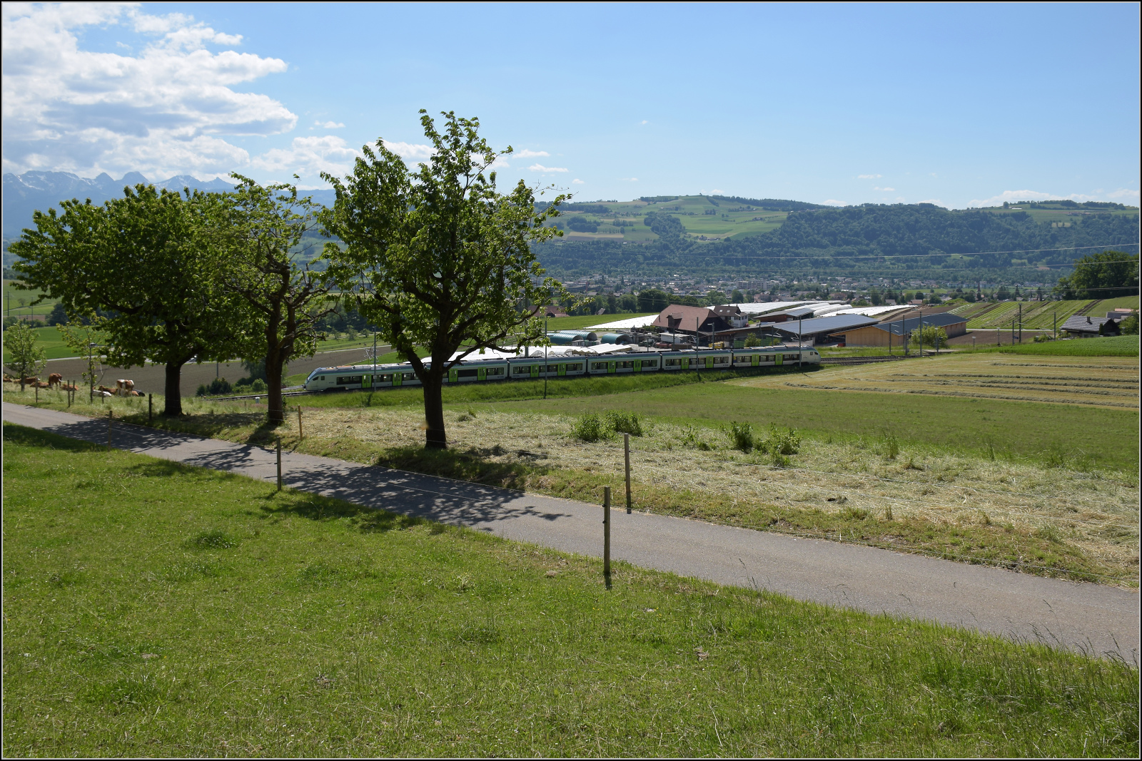 Mika RABe 528 223 auf dem Weg nach Bern. Tägertschi, Mai 2025.