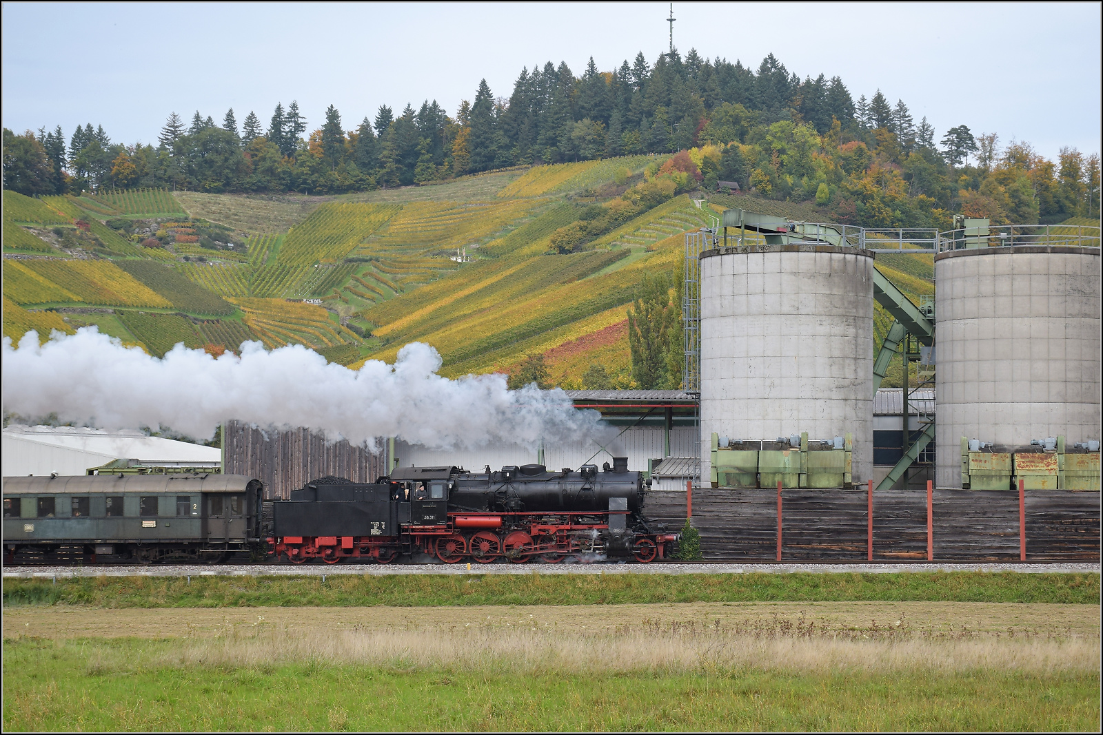 Mit Dampf zur Winzer-Kirwi.

58 311 bei Sgewerk Oberachern. Oktober 2025. 