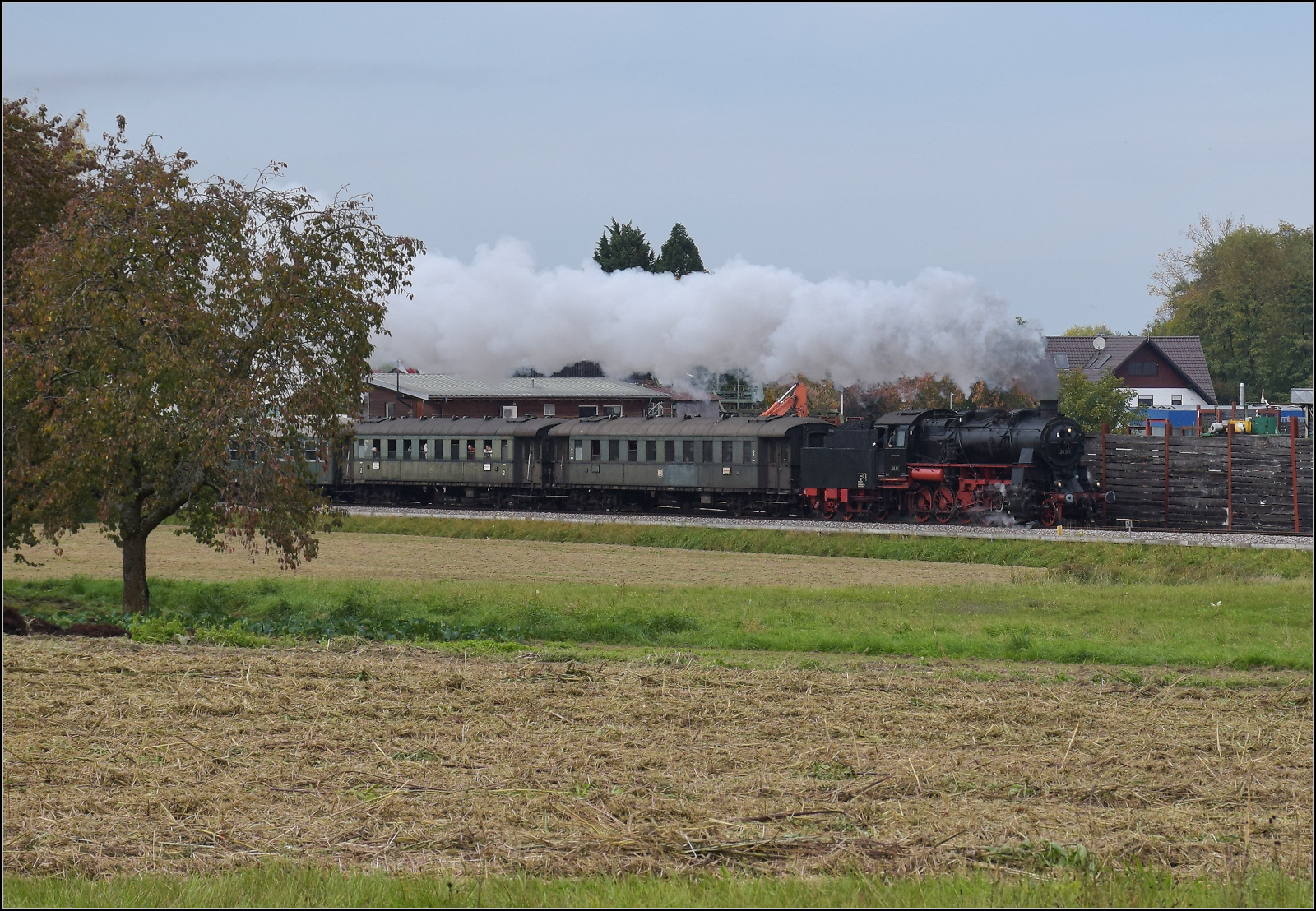 Mit Dampf zur Winzer-Kirwi.

58 311 bei Sgewerk Oberachern. Oktober 2025. 