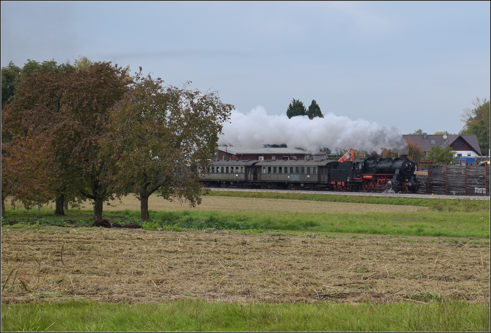 Mit Dampf zur Winzer-Kirwi.

58 311 bei Sgewerk Oberachern. Oktober 2025. 