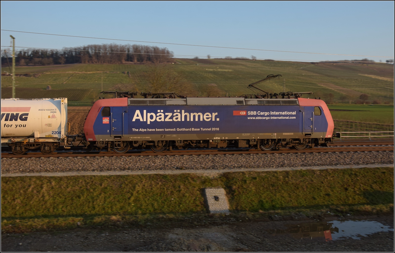 Nachmittag im Markgräfler Land. 

Re 482 022 'Alpezähmer' bei Auggen. Februar 2023.