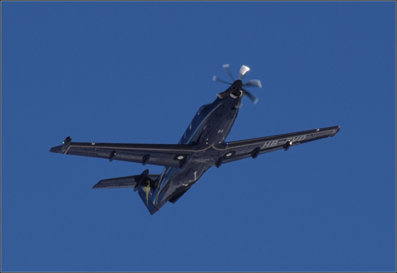 Pilatus PC-12 NG von Air Corviglia mit der Kennung HB-FVD hebt von Samedan ab. Januar 2024.