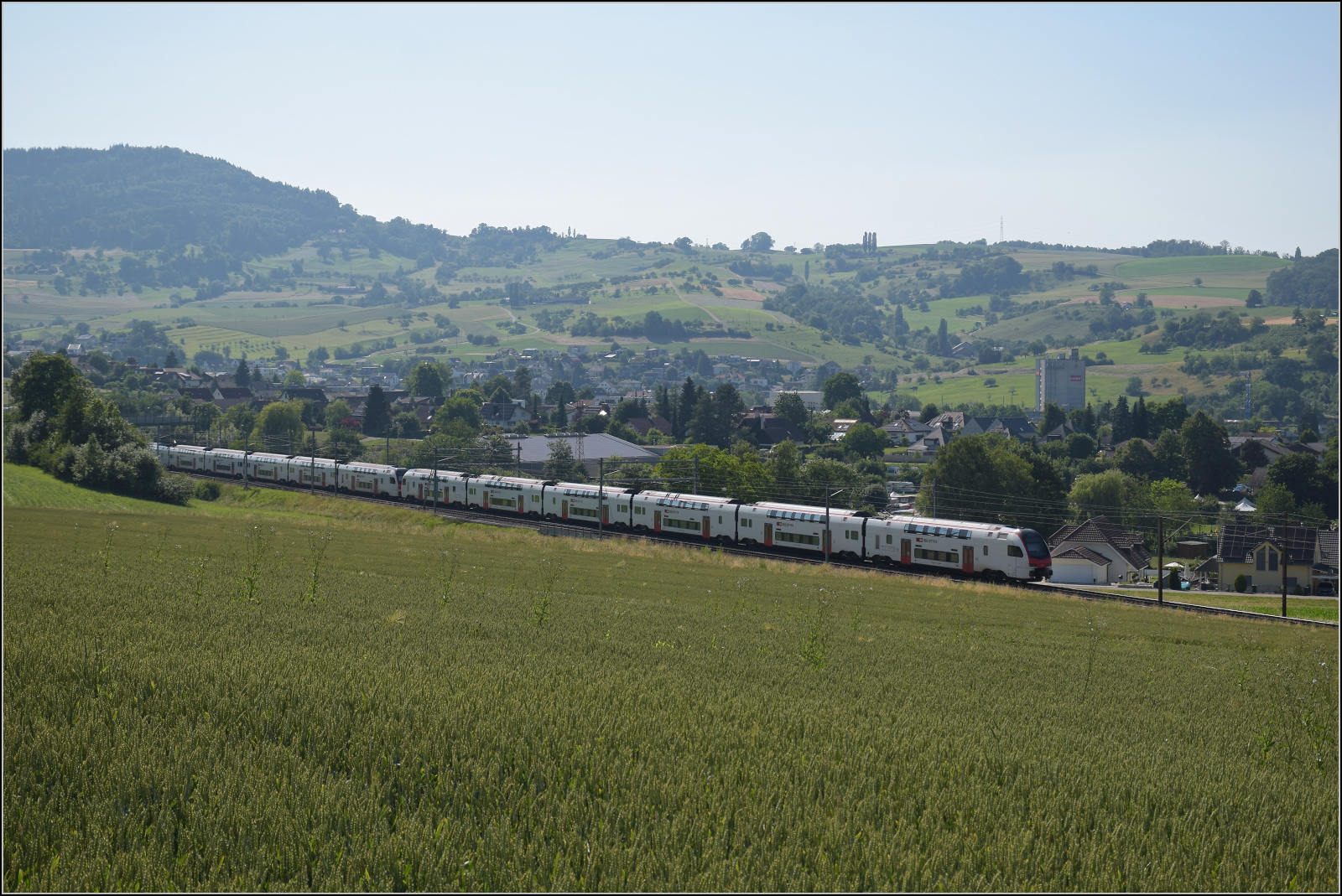 RABe 512 029 und RABe 512 014 bei Frick, Juni 2025.