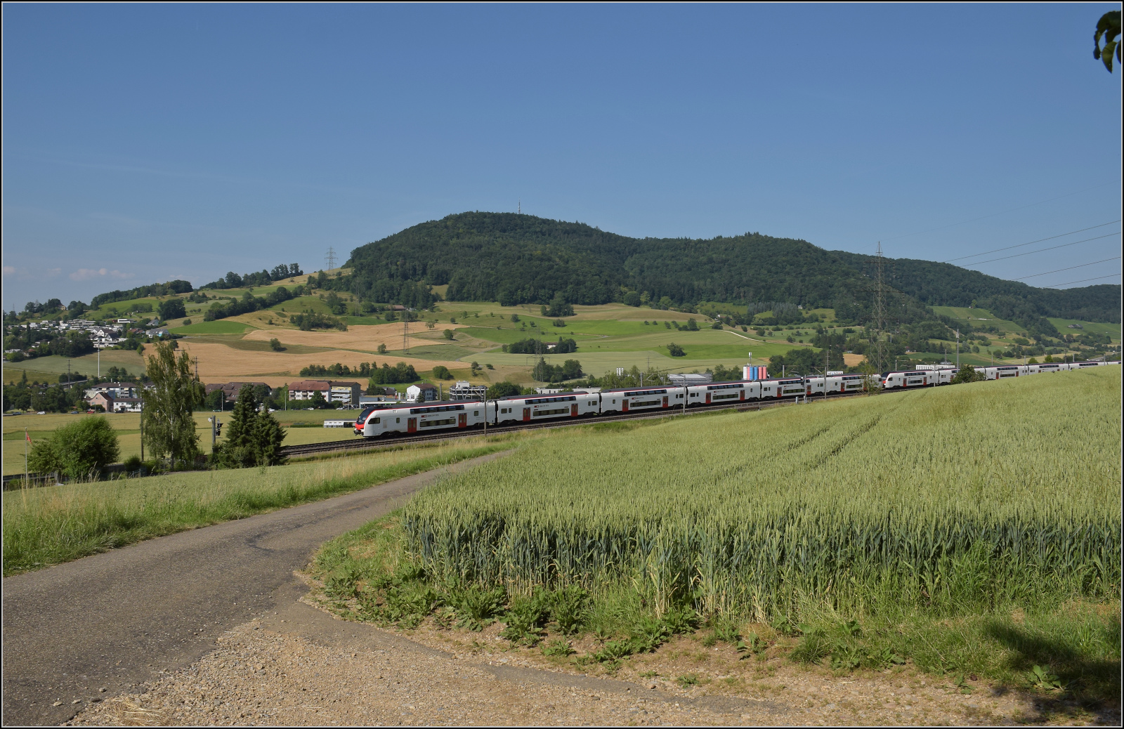 RABe 512 029 und RABe 512 014 bei Frick, Juni 2025.