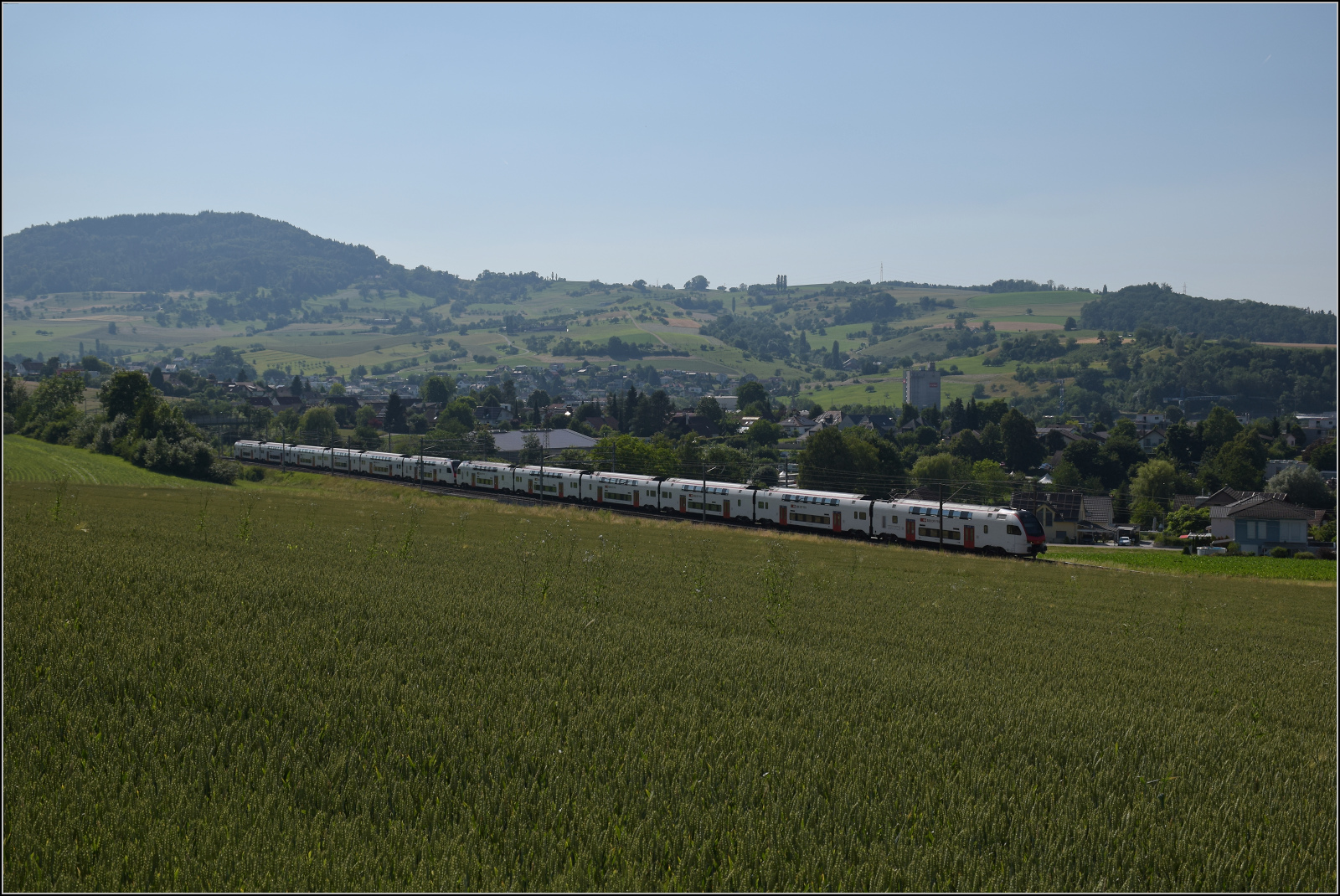 RABe 512 029 und RABe 512 014 bei Frick, Juni 2025.