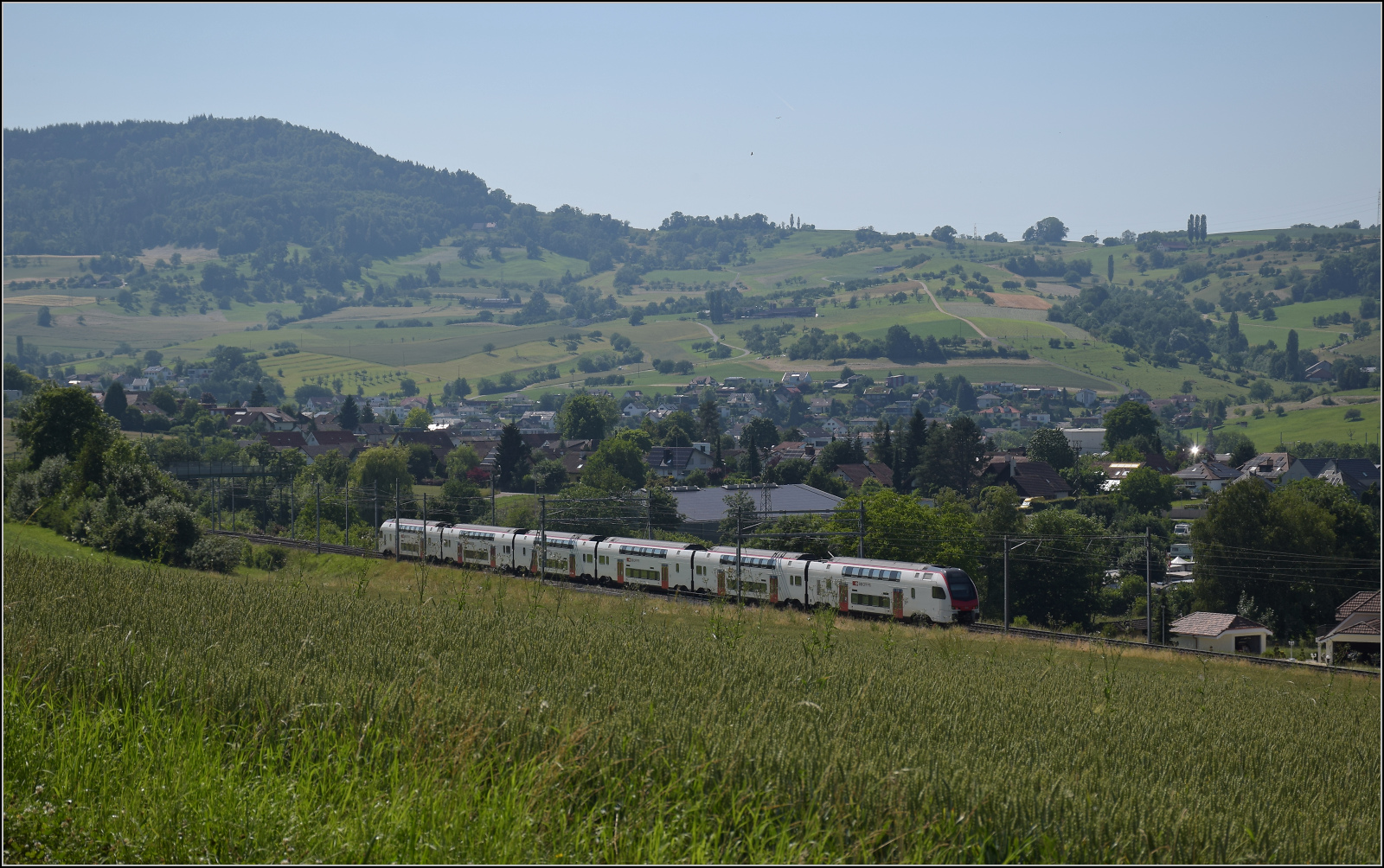 RABe 512 031 bei Frick, Juni 2025.