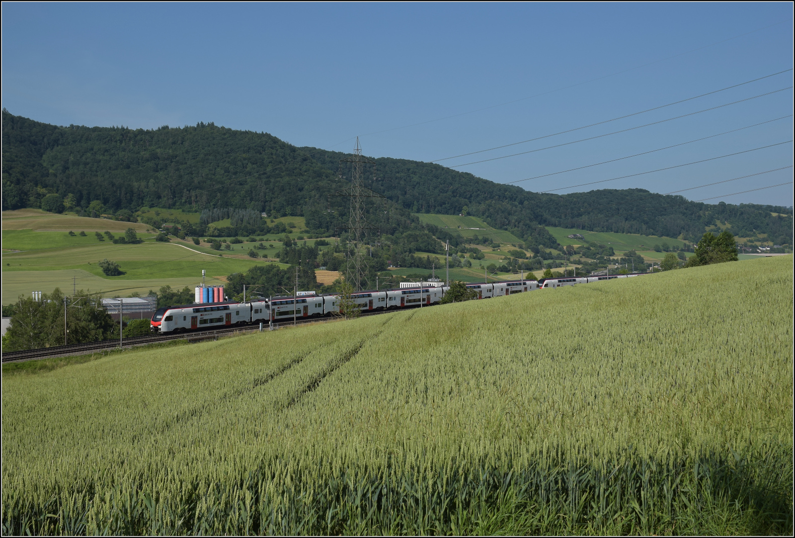 RABe 512 031 und RABe 512 018 bei Frick, Juni 2025.