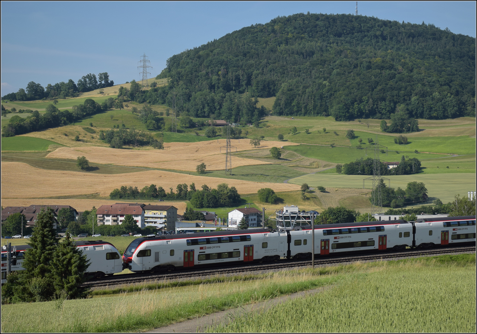 RABe 512 031 und RABe 512 018 bei Frick, Juni 2025.