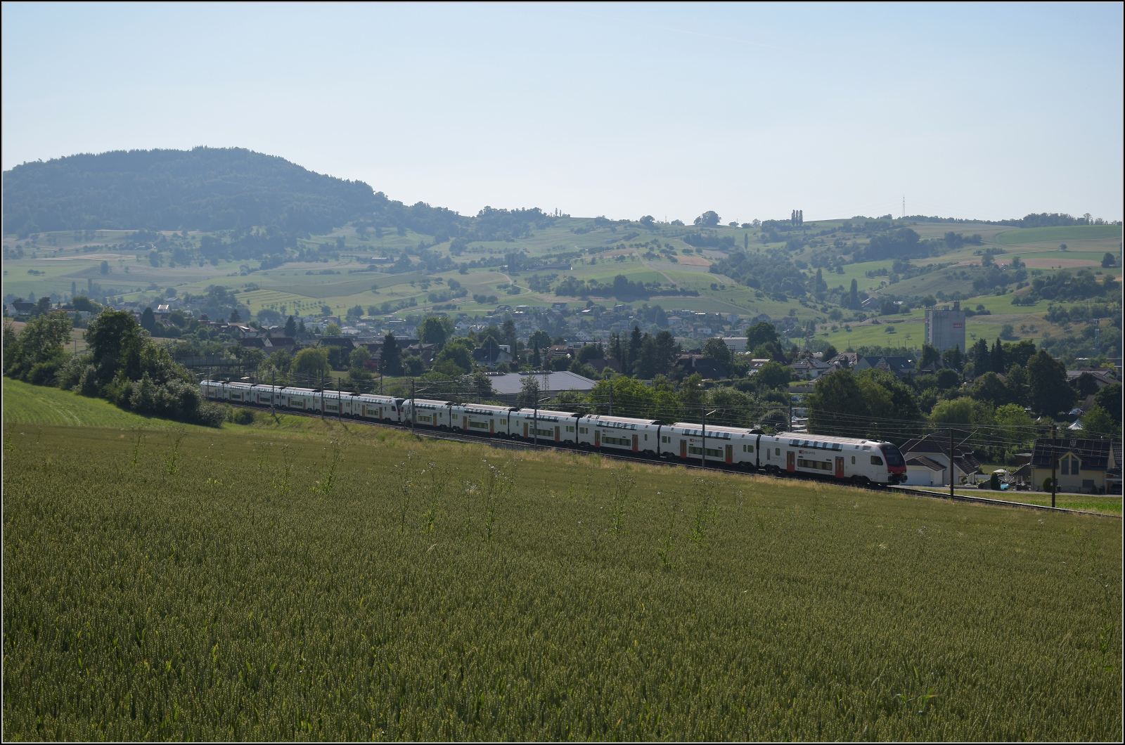 RABe 512 031 und RABe 512 018 bei Frick, Juni 2025.