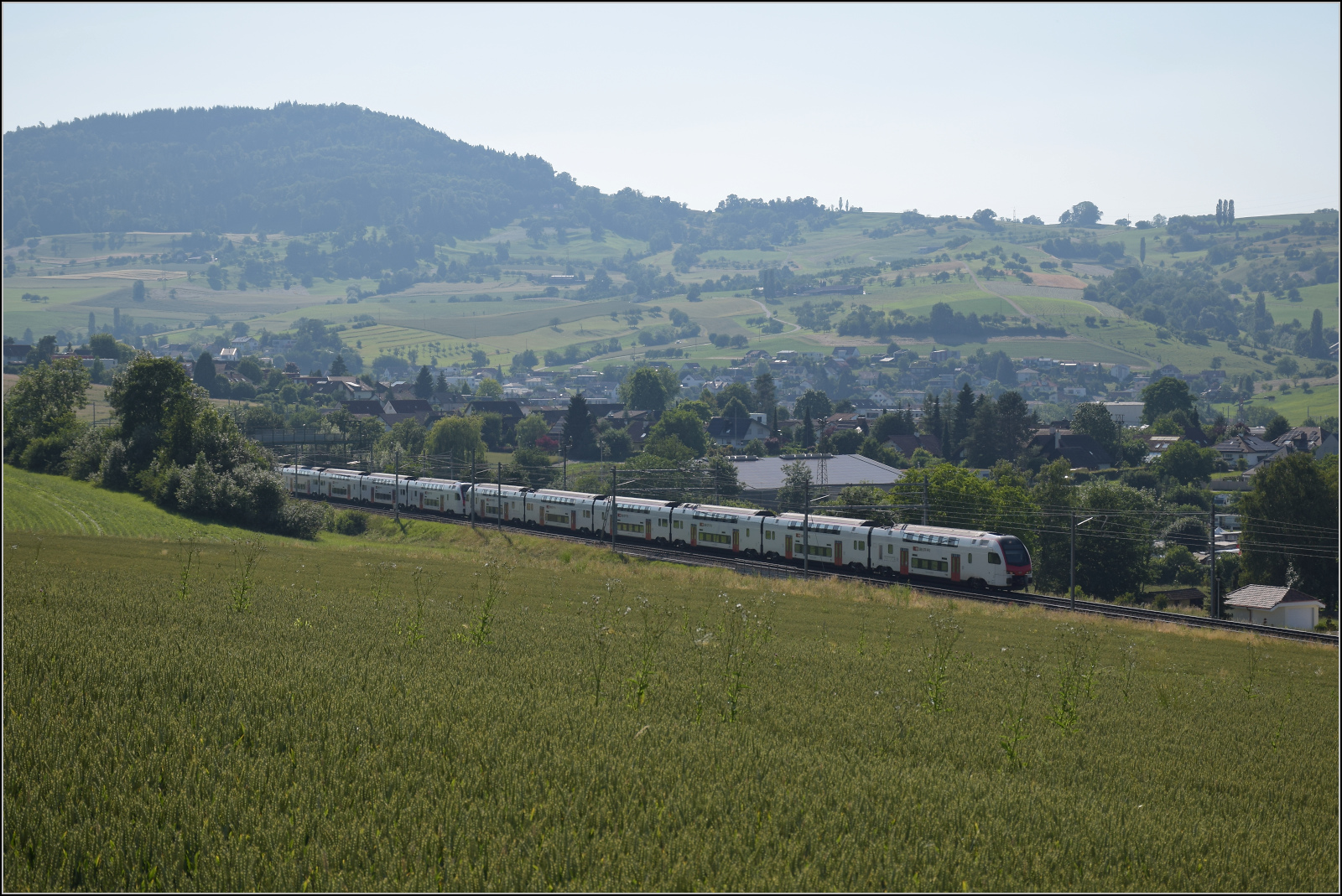 RABe 512 031 und RABe 512 018 bei Frick, Juni 2025.