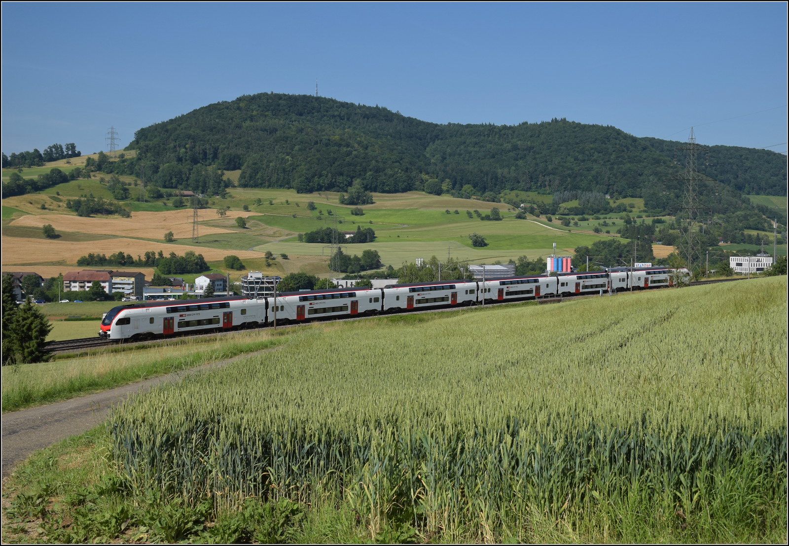 RABe 512 032 bei Frick, Juni 2025.