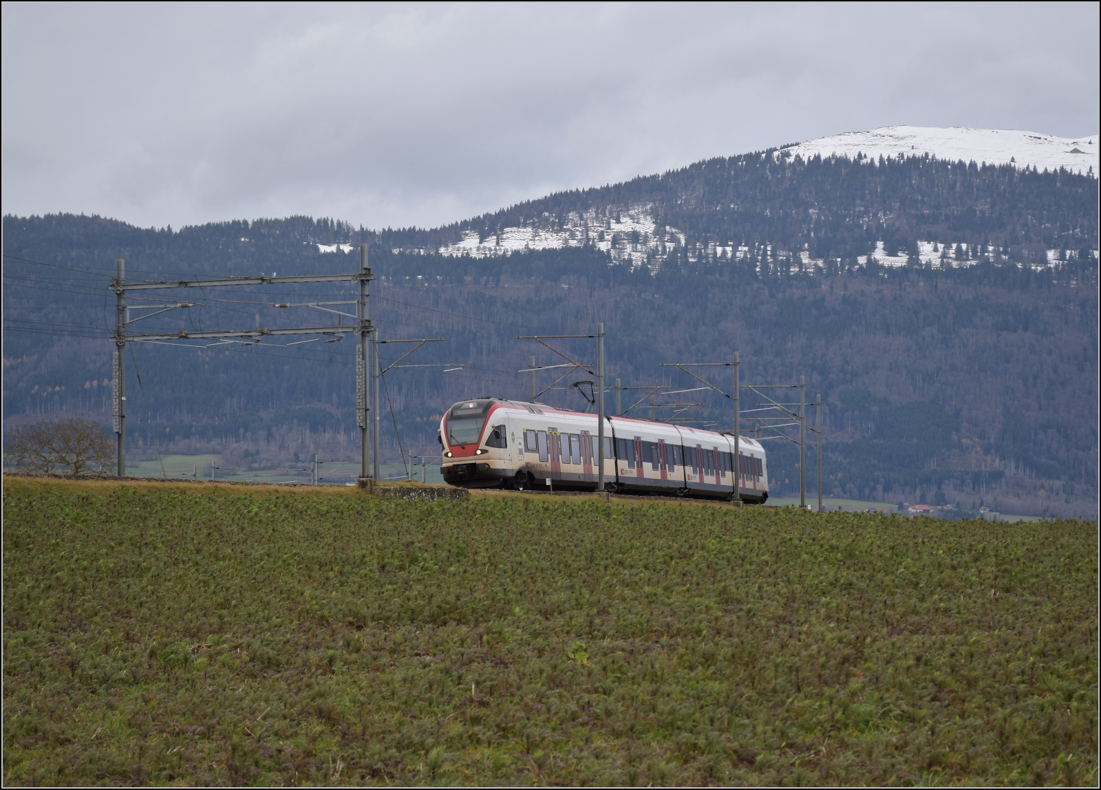 RABe 523 019 talwärts bei Arnex-sur-Orbe. Dezember 2025.