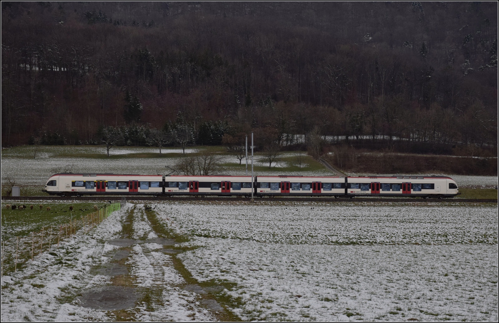 RABe 523 050 bei Oensingen. Januar 2023.