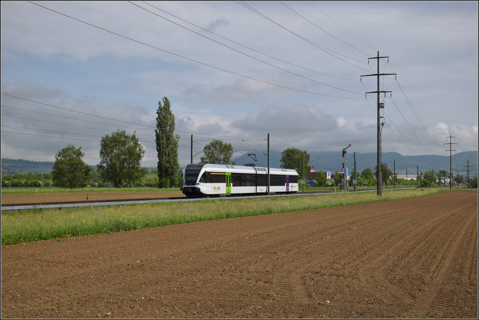 RABe 526 732 auf dem Weg nach Erzingen. Wilchingen, Mai 2025.