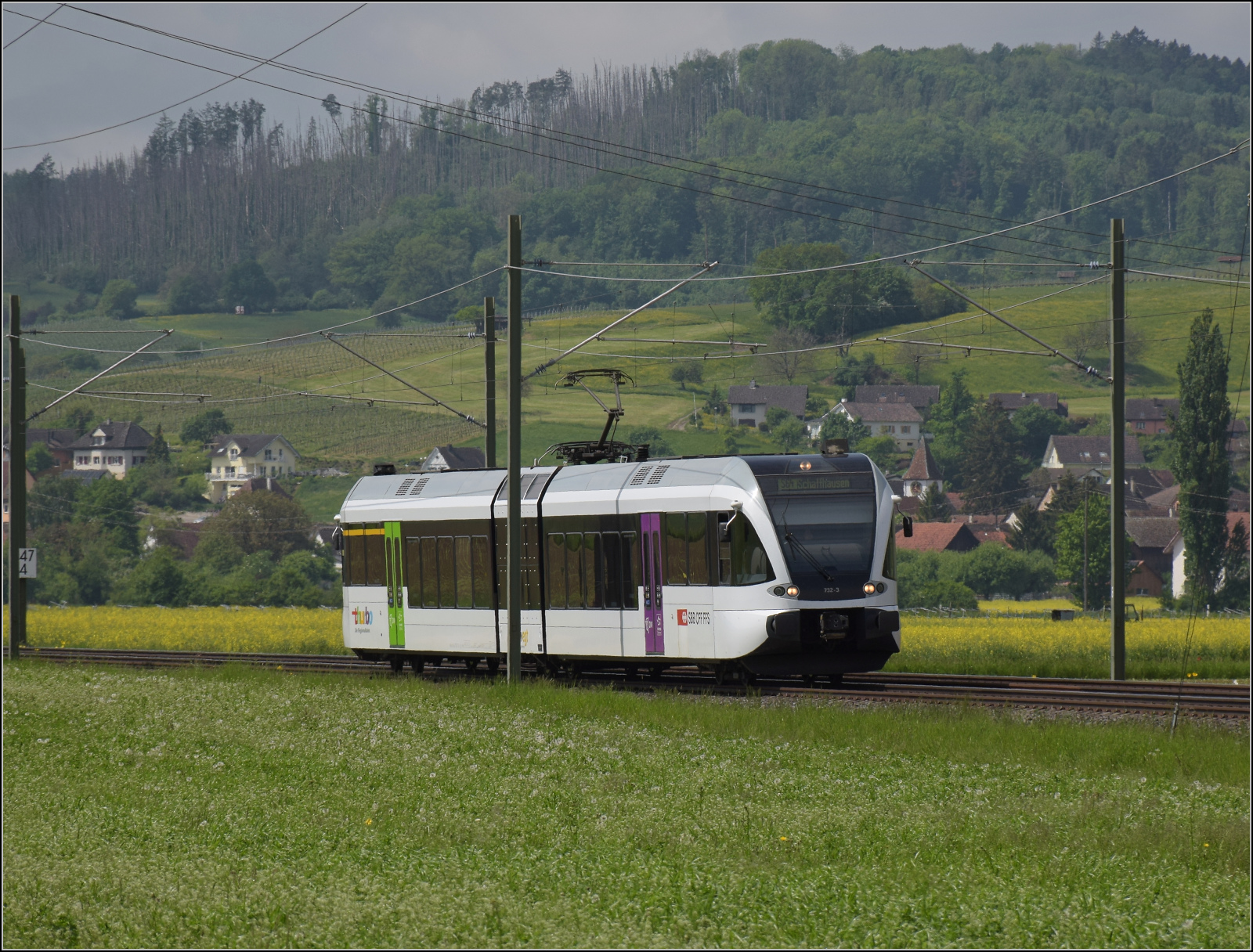 RABe 526 732 auf dem Weg nach Erzingen. Wilchingen, Mai 2025.