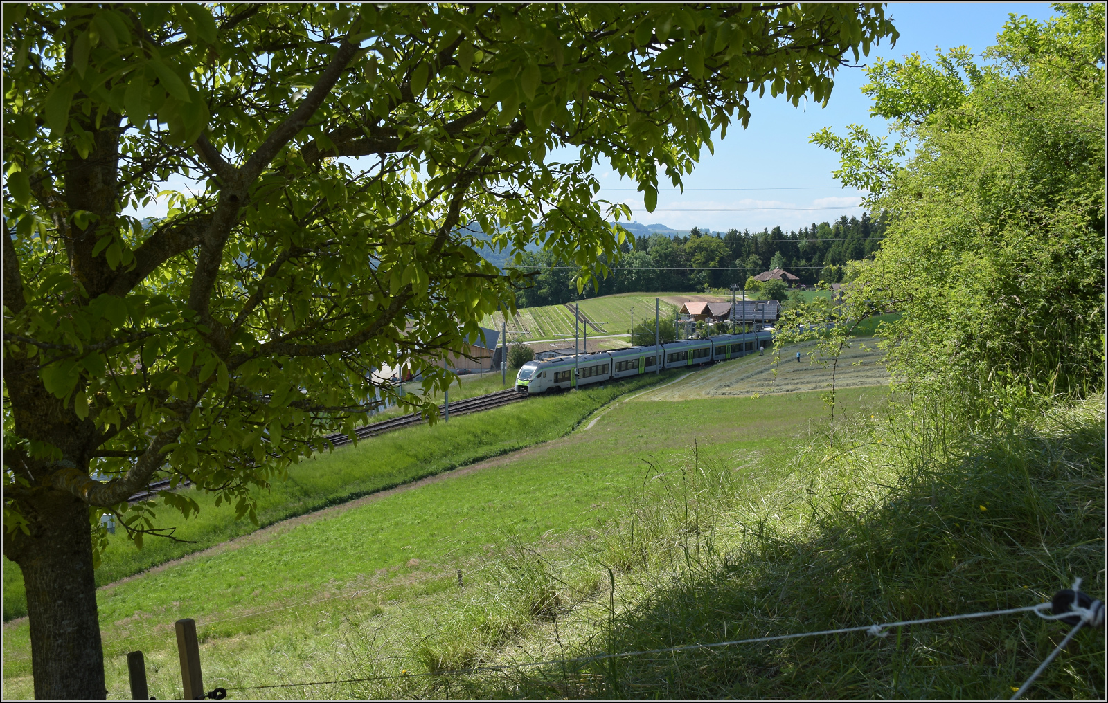 RABe 528 126 auf dem momentan nach Langnau verkürzten Weg. Tägertschi, Mai 2025.