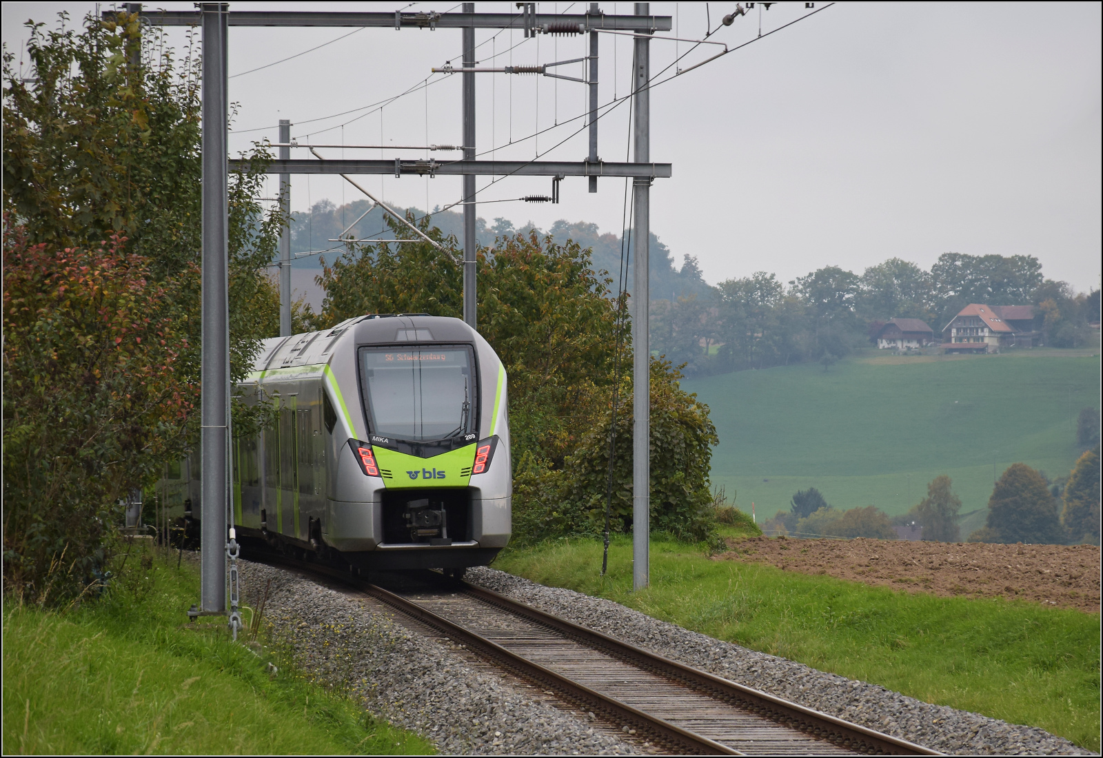 RABe 528 209 bei Ausfahrt aus Mittelhäusern. Oktober 2025.