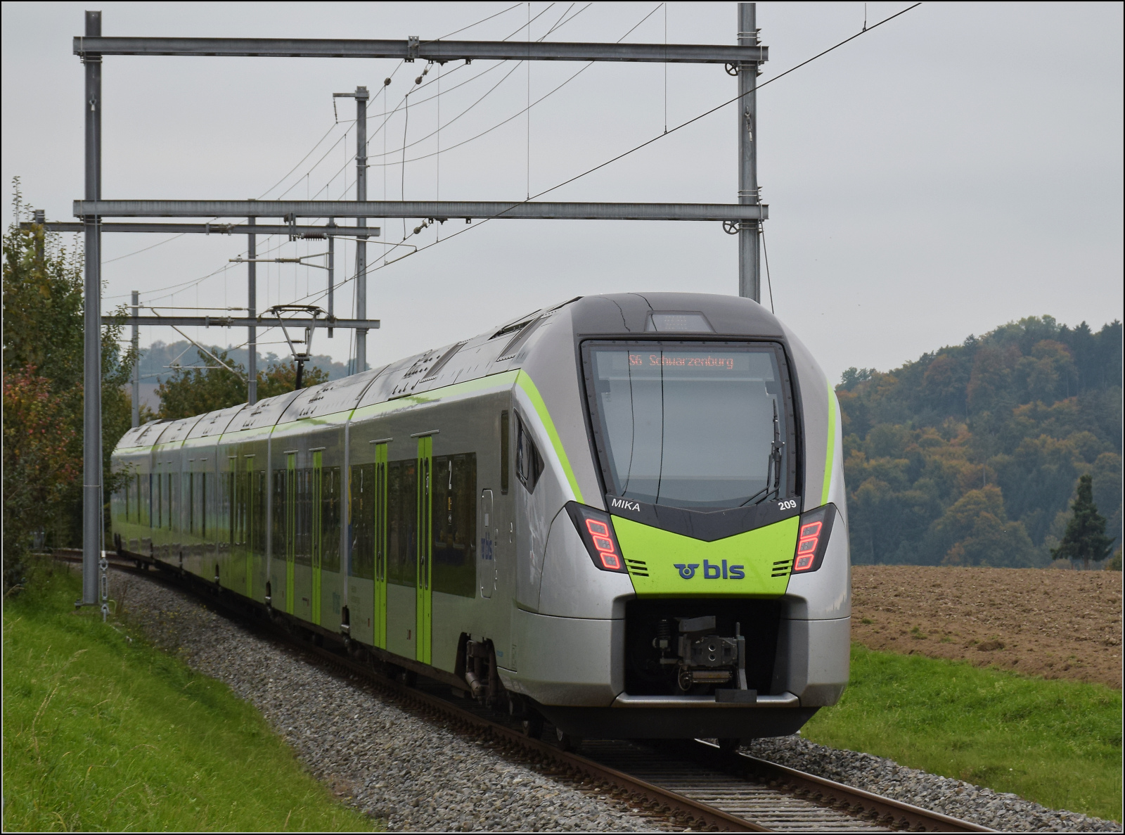 RABe 528 209 bei Ausfahrt aus Mittelhäusern. Oktober 2025.