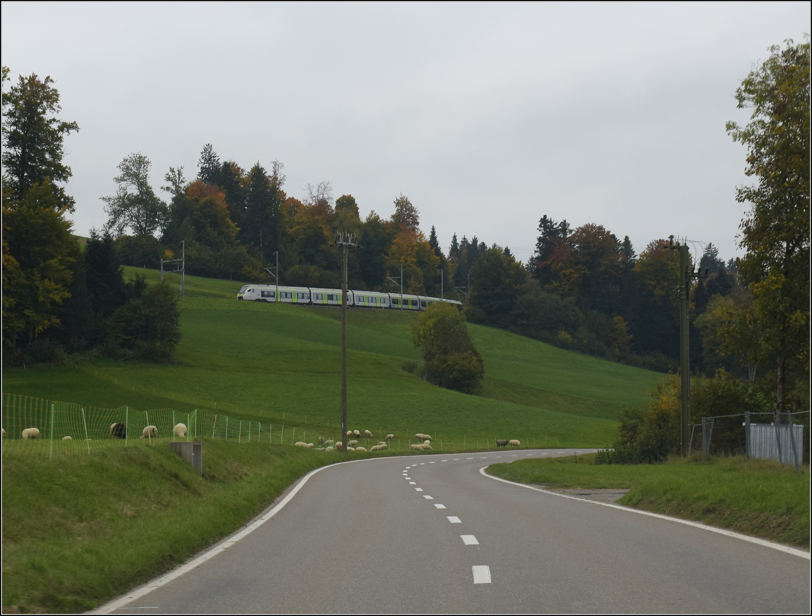 RABe 528 209 bei Mühlimatt. Oktober 2025.