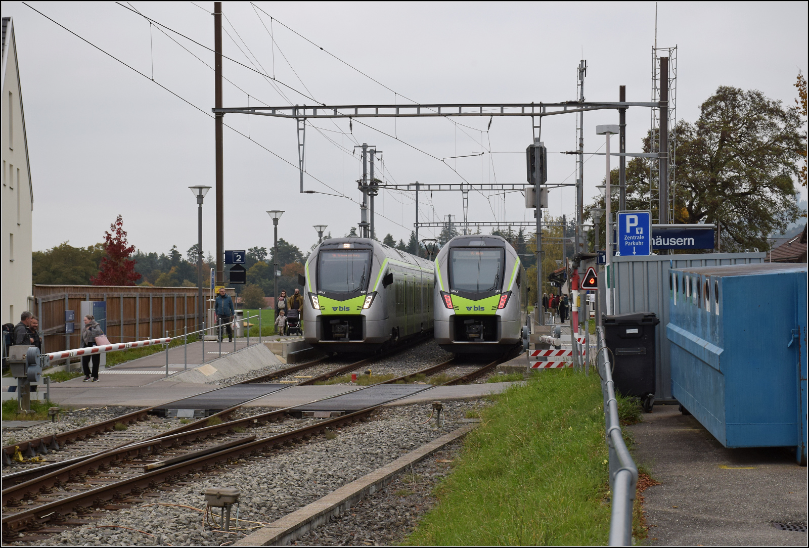 RABe 528 209 und RABe 528 227 begegnen sich in Mittelhäusern. Oktober 2025.