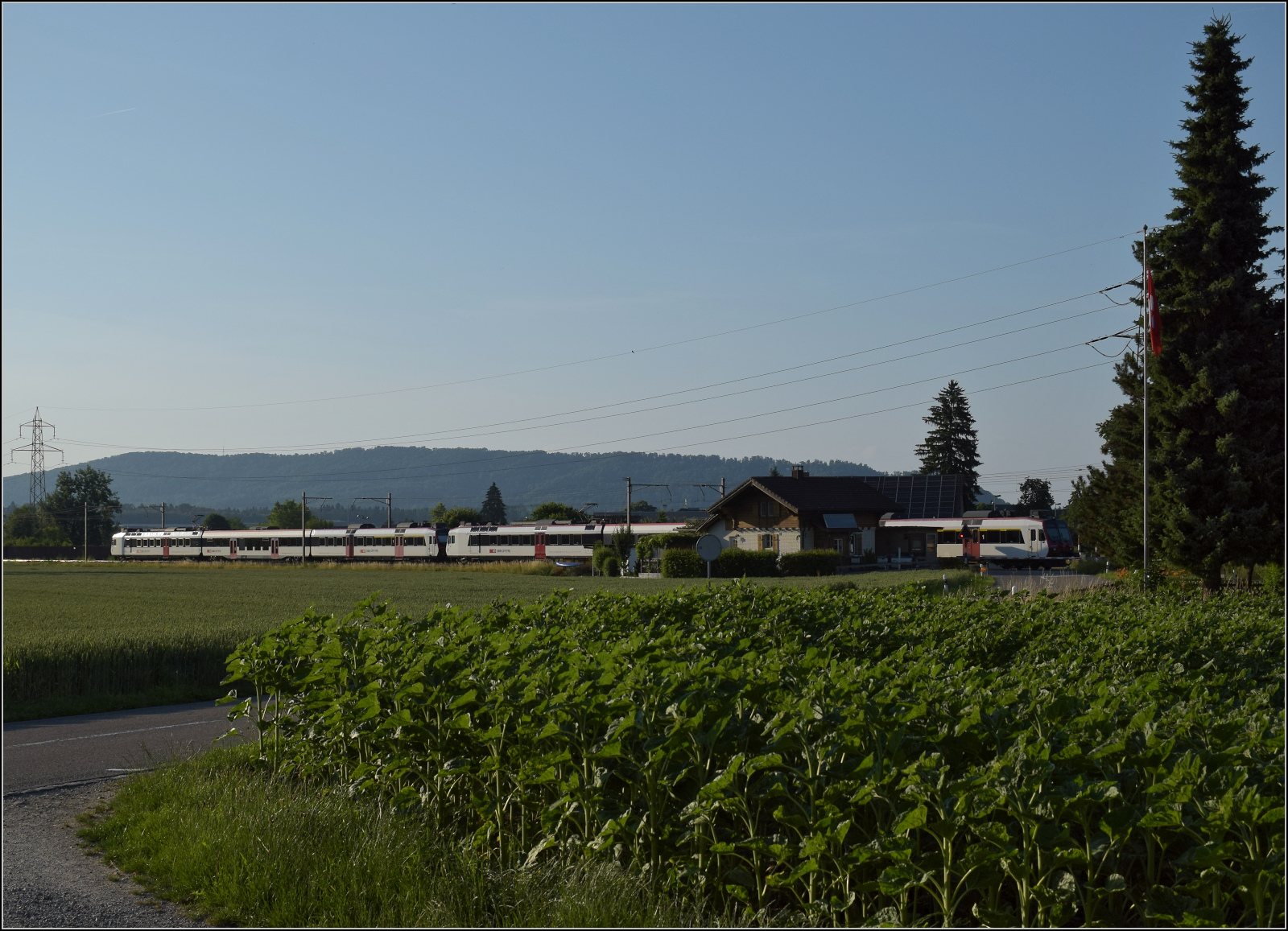 RBDe 560 272 und RBDe 560 300 bei Hendschiken, Juni 2025.
