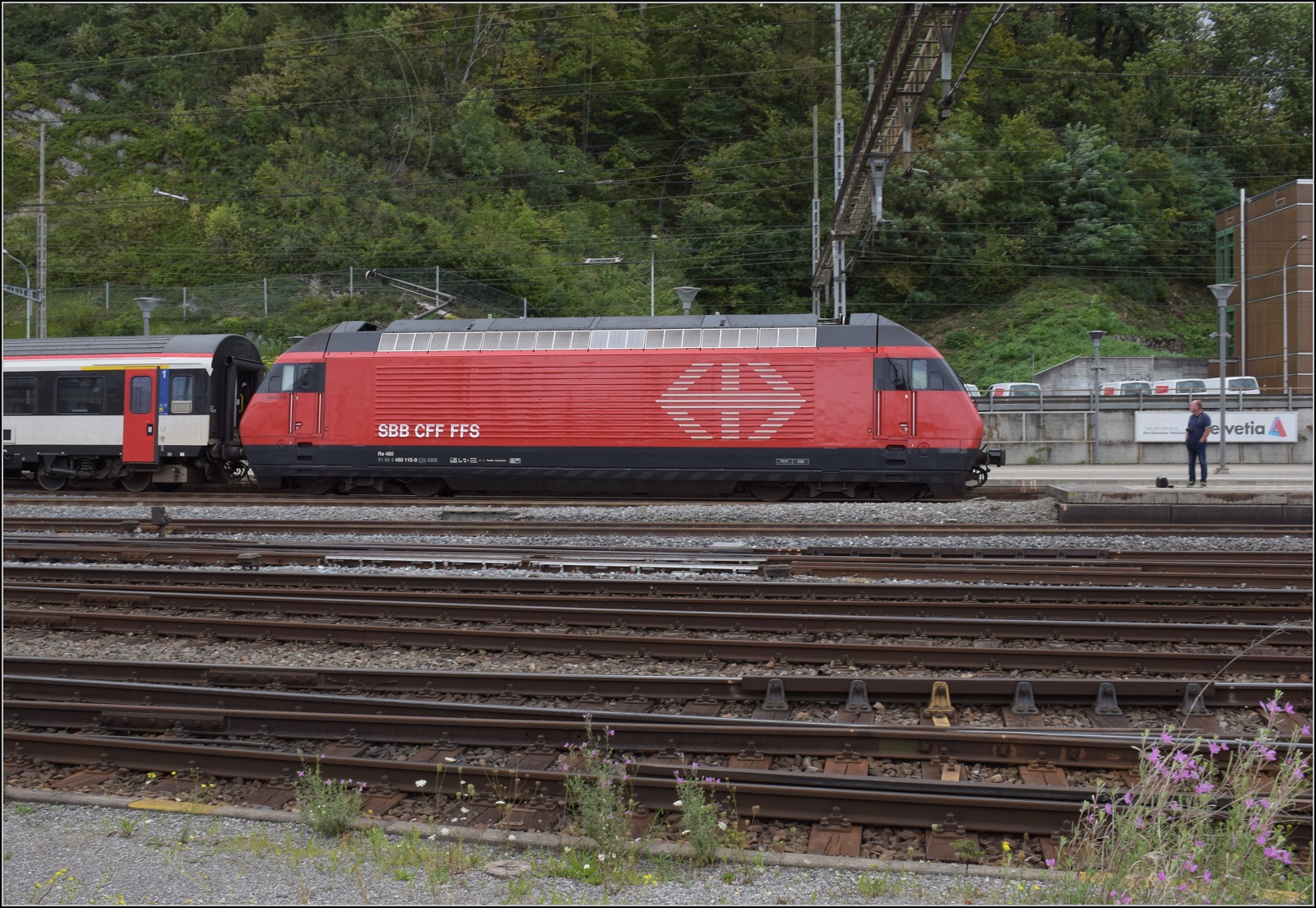 RE 460 115 bei Einfahrt nach Olten. August 2023.