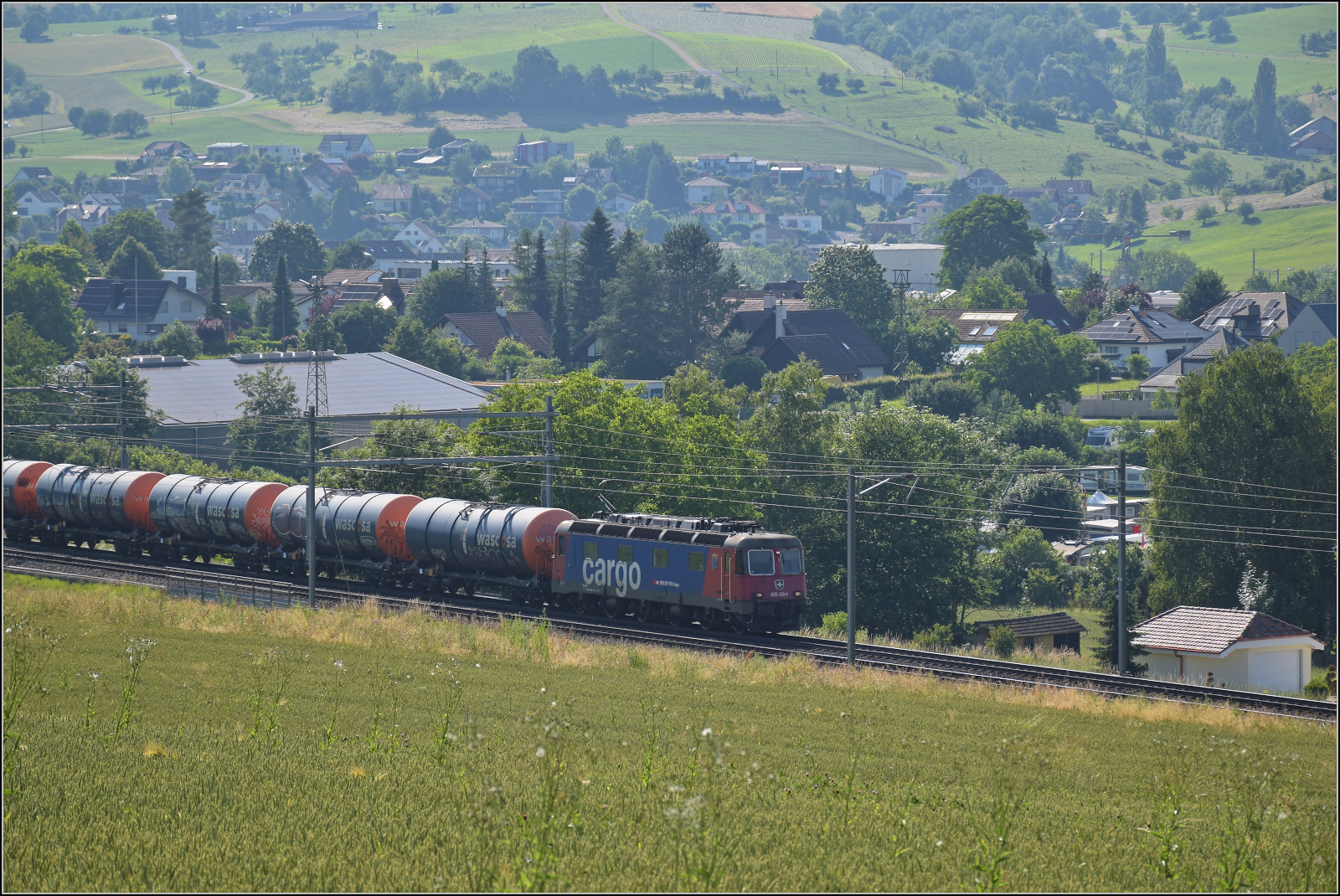 Re 6/6 11660 'Tavannes' mit Kesselwagen bei Frick, Juni 2025.