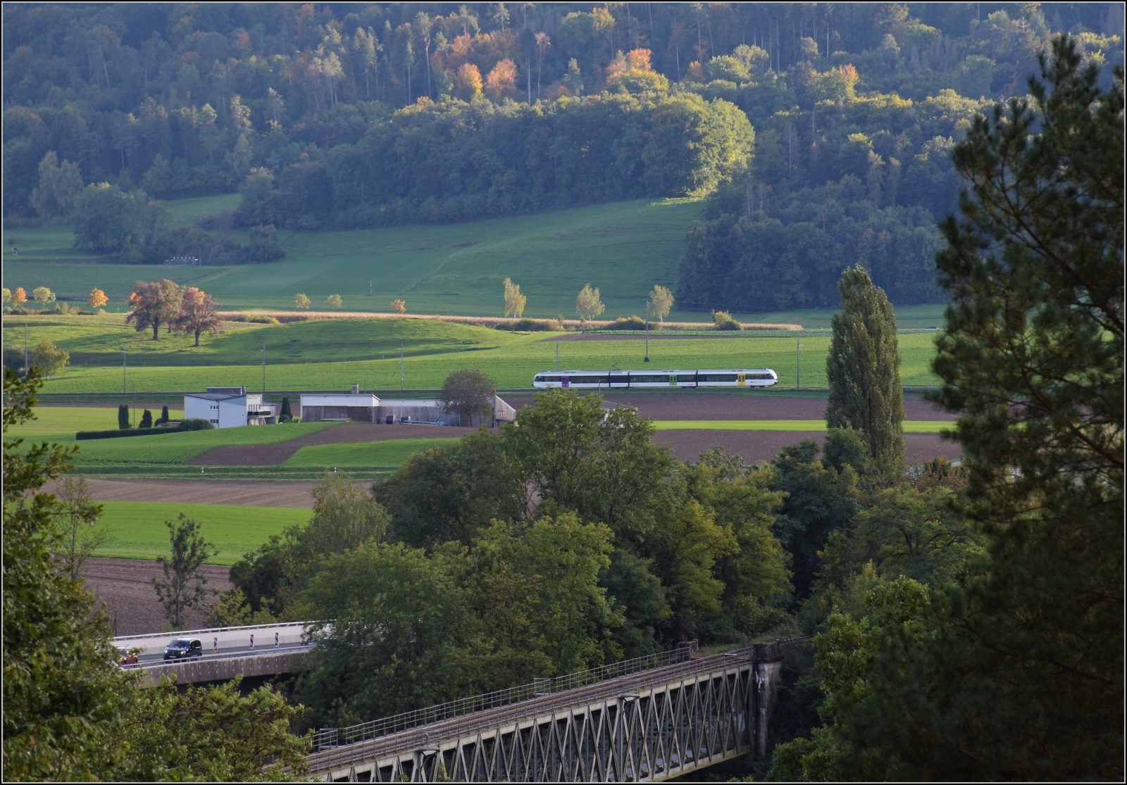 Schienenverkehr am Schienerberg. 

Am gegenüberliegenden Rheinufer zieht ein Thurbo-GTW vorüber. Hemishofen, Oktober 2022.