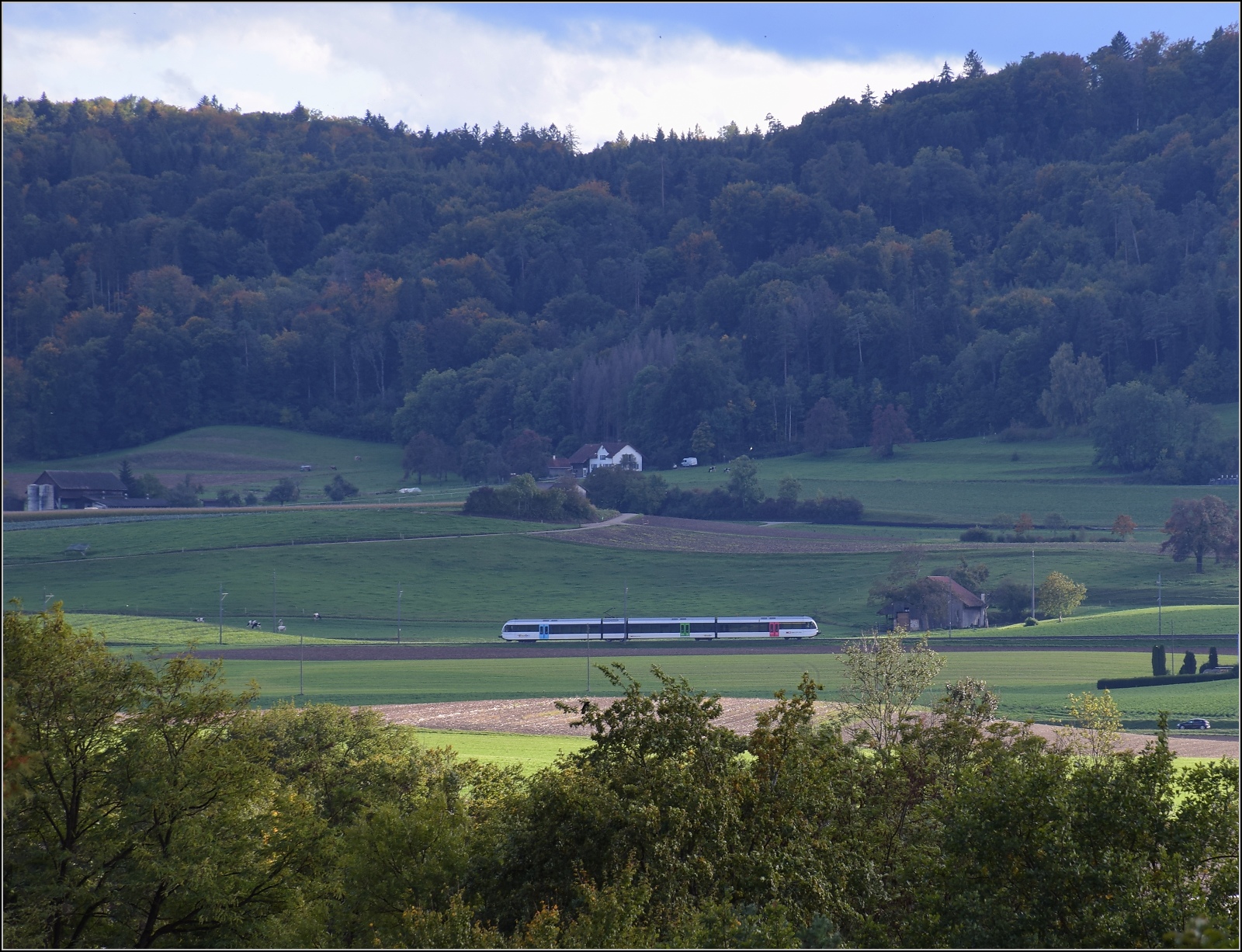 Schienenverkehr am Schienerberg. 

Am gegenüberliegenden Rheinufer zieht ein Thurbo-GTW vorüber. Hemishofen, Oktober 2022.
