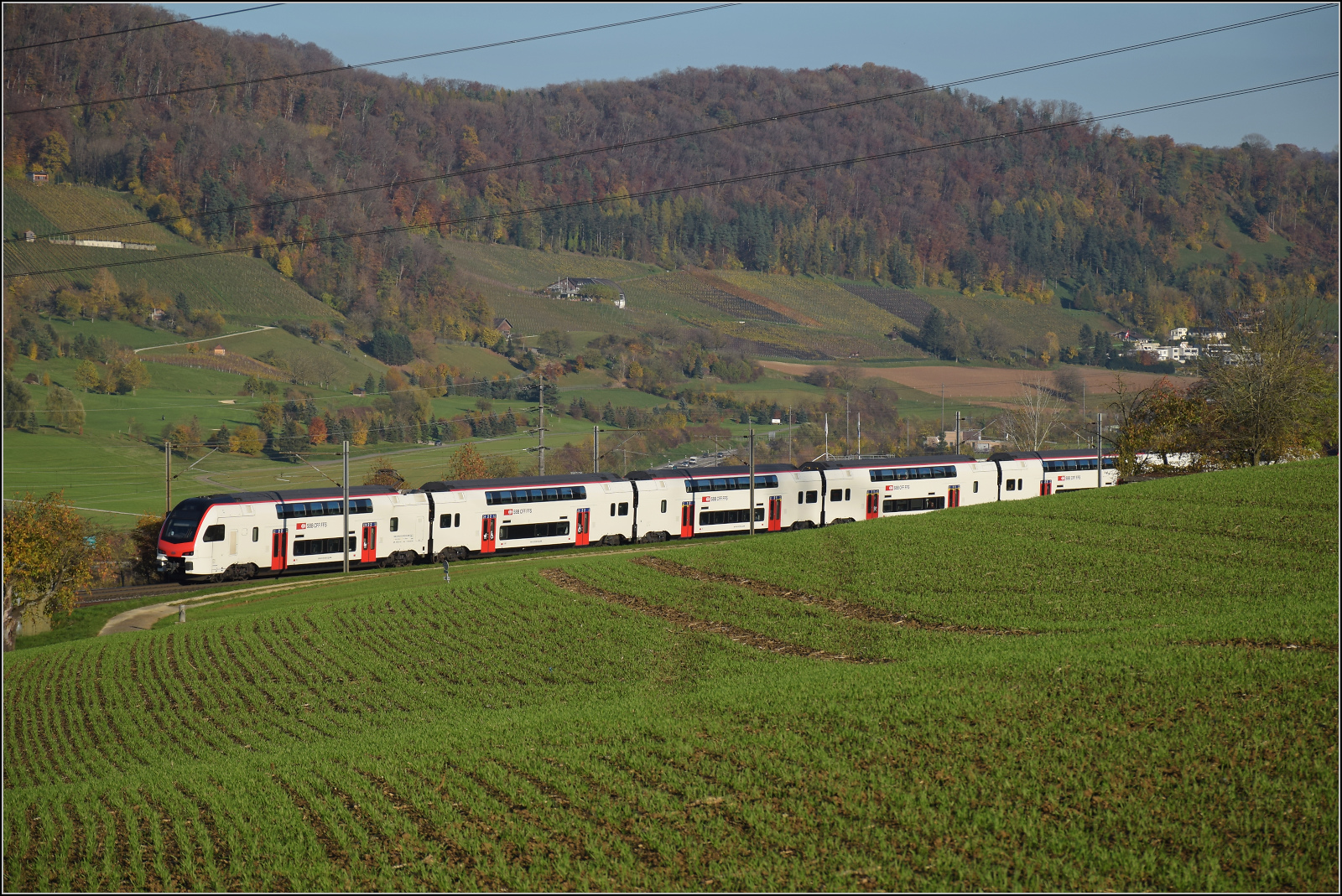 Sonnentag in Frick.

RABe 512 002 und RABe 512 018 auf dem Weg nach Zürich. Frick, November 2024.