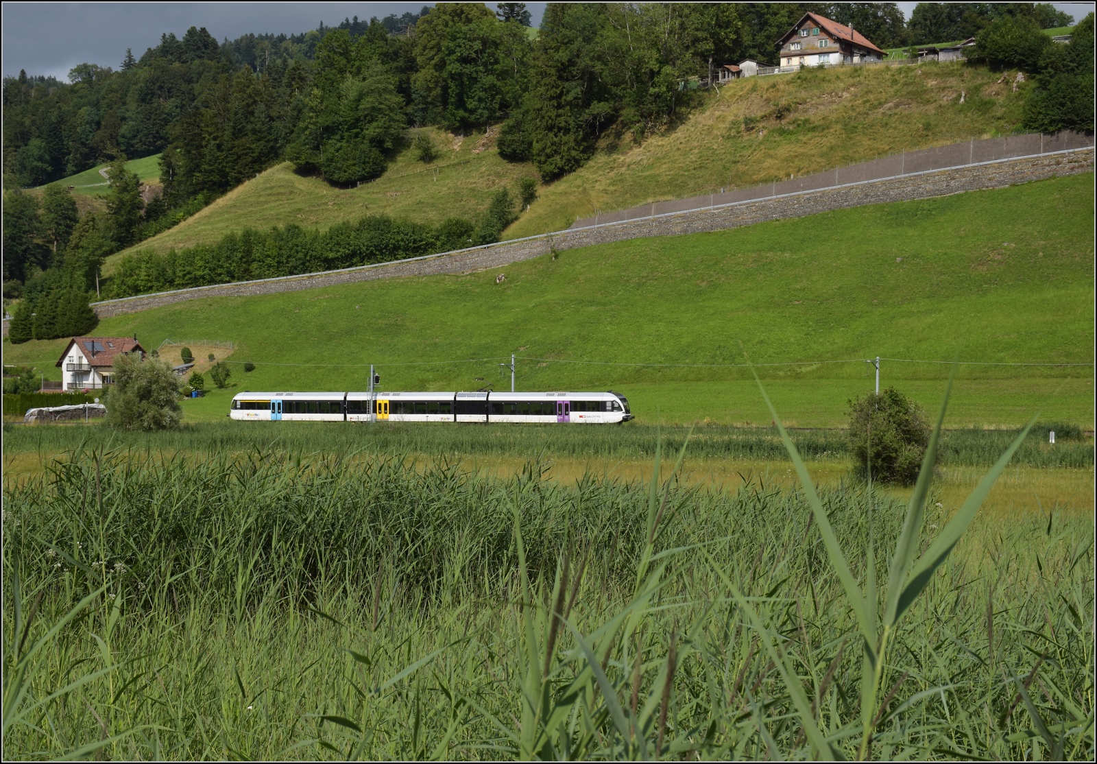 Turbo-GTW RABe 526 im Ried zwischen Fischenthal und Gibswil. Juli 2023.