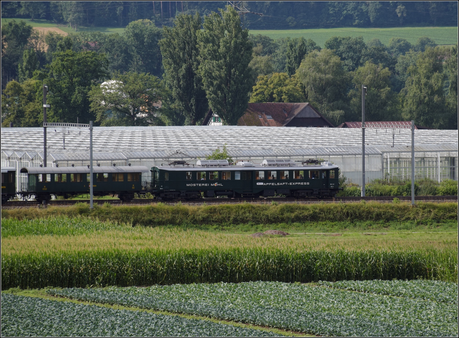 Und da kommt der erwartete Zug, berraschend lang mit dem Apfelsaftexpress Be 3/4 43 'Tino', dahinter C2 5820 'Thurgauer Stube' durch Buchs ZH nach Otelfingen. Juli 2023.