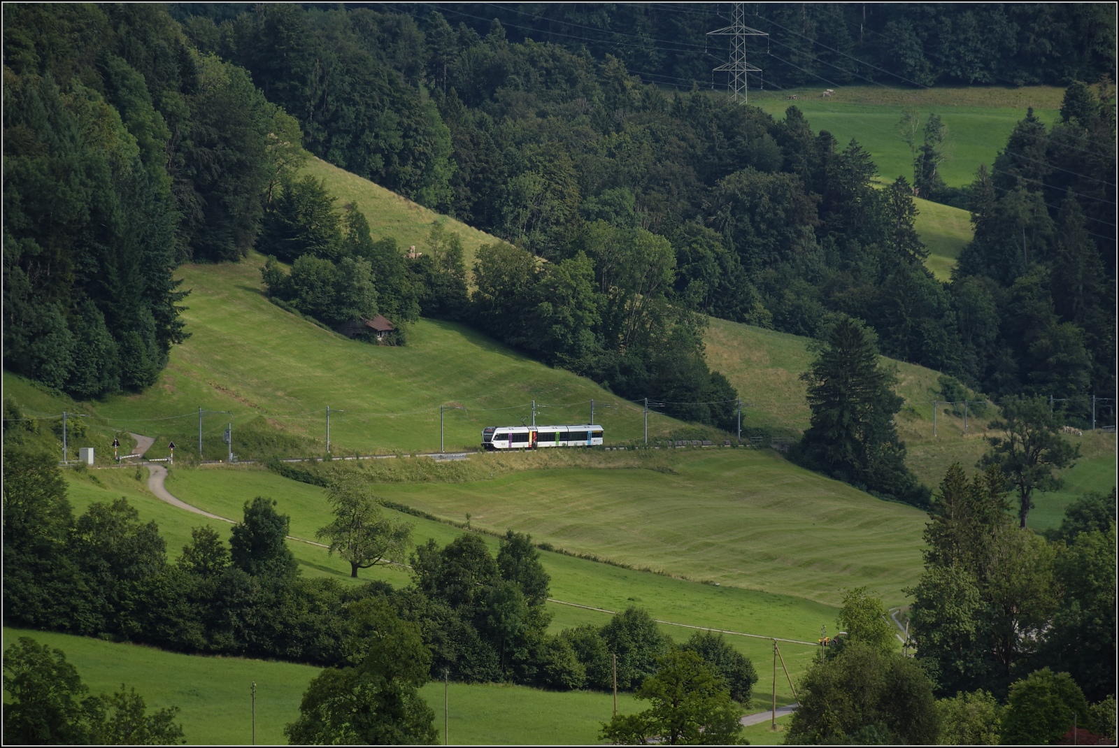 Verkehr am kleinen Gotthard. Turbo RABe 526 auf der Rampe zwischen Wald und Gibswil. Juli 2023.