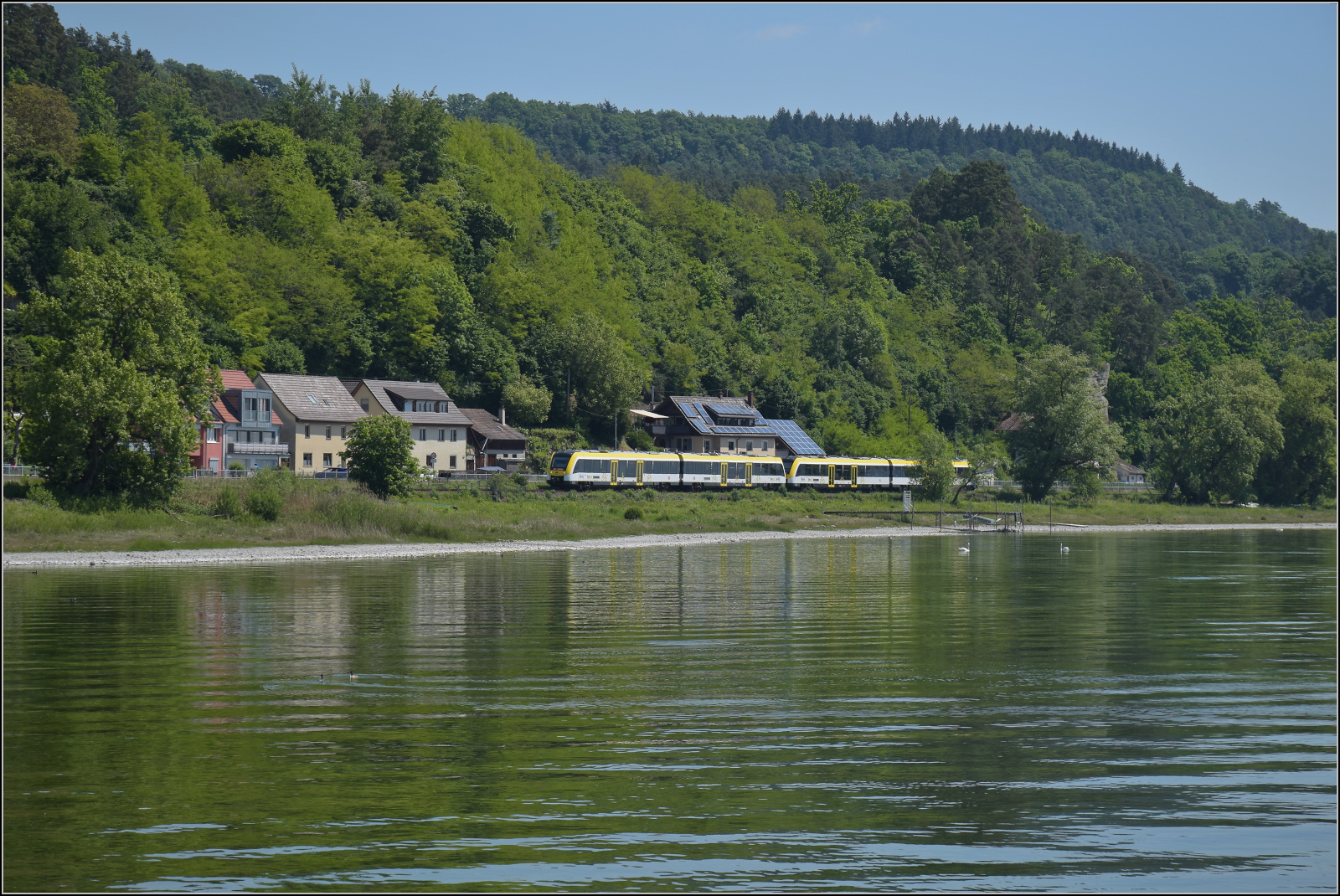 Vermutlich 622 466 und 622 322 auf dem Weg nach Radolfzell. Sipplingen, Mai 2025.