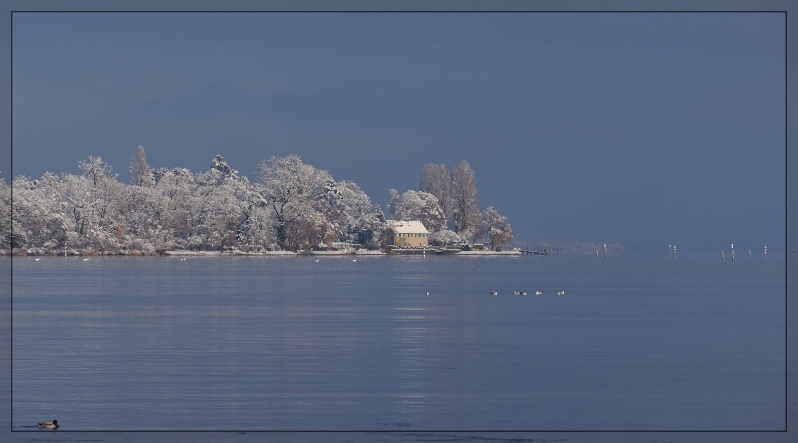Winterzauber am Bodensee mit Nebenwirkungen.

Weisse Winterwunderwelt in Konstanz im Dezember 2023. Und ein verschwommener Blick ans Nordufer des Bodensee.