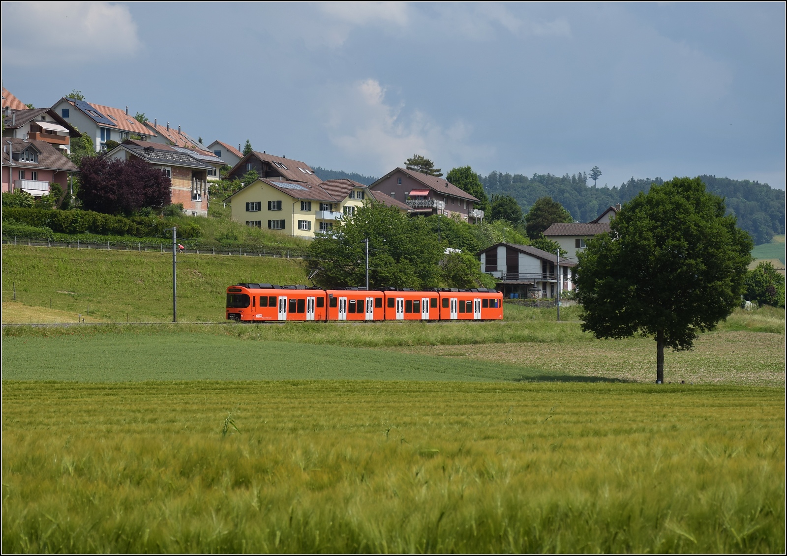 Worbla Be 4/10 03 in Sinneringen. Juni 2023.